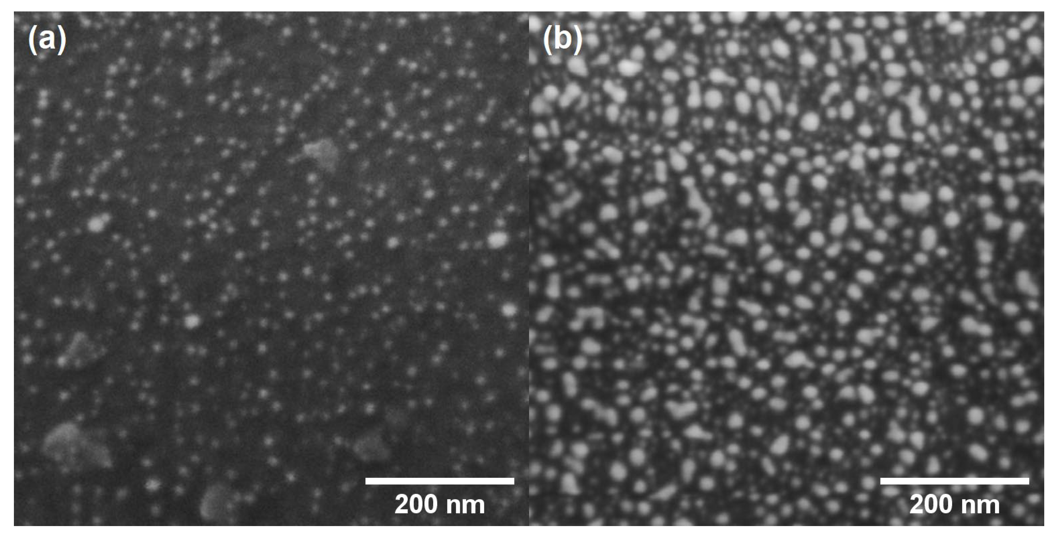 Coatings 10 00746 g001 Coatings 10 00746 g001