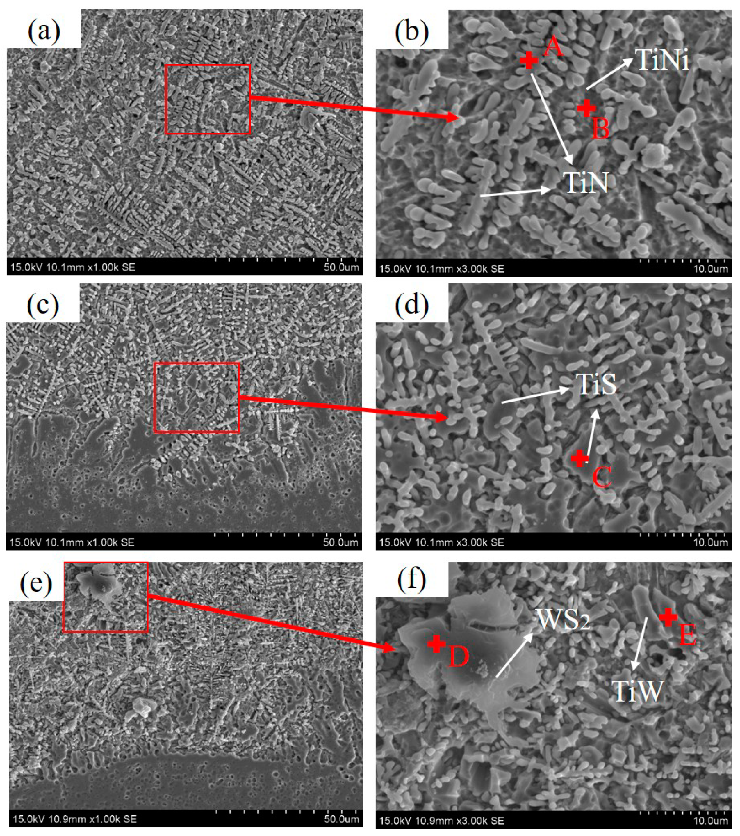 Coatings 10 00747 g004