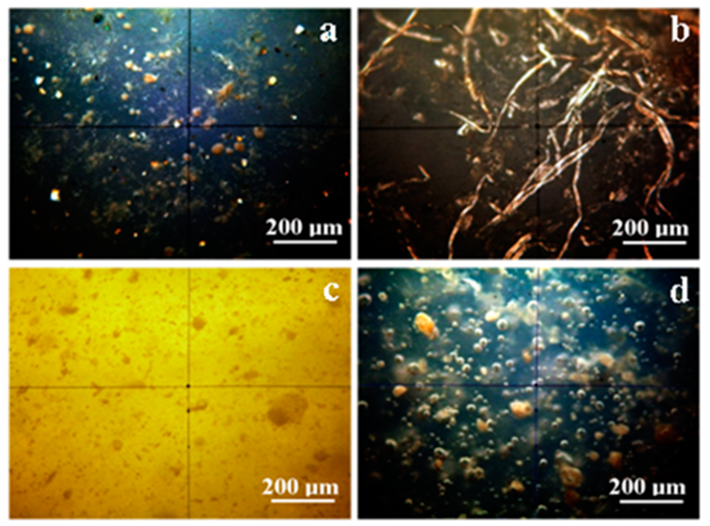 Coatings 10 00749 g001 Coatings 10 00749 g001