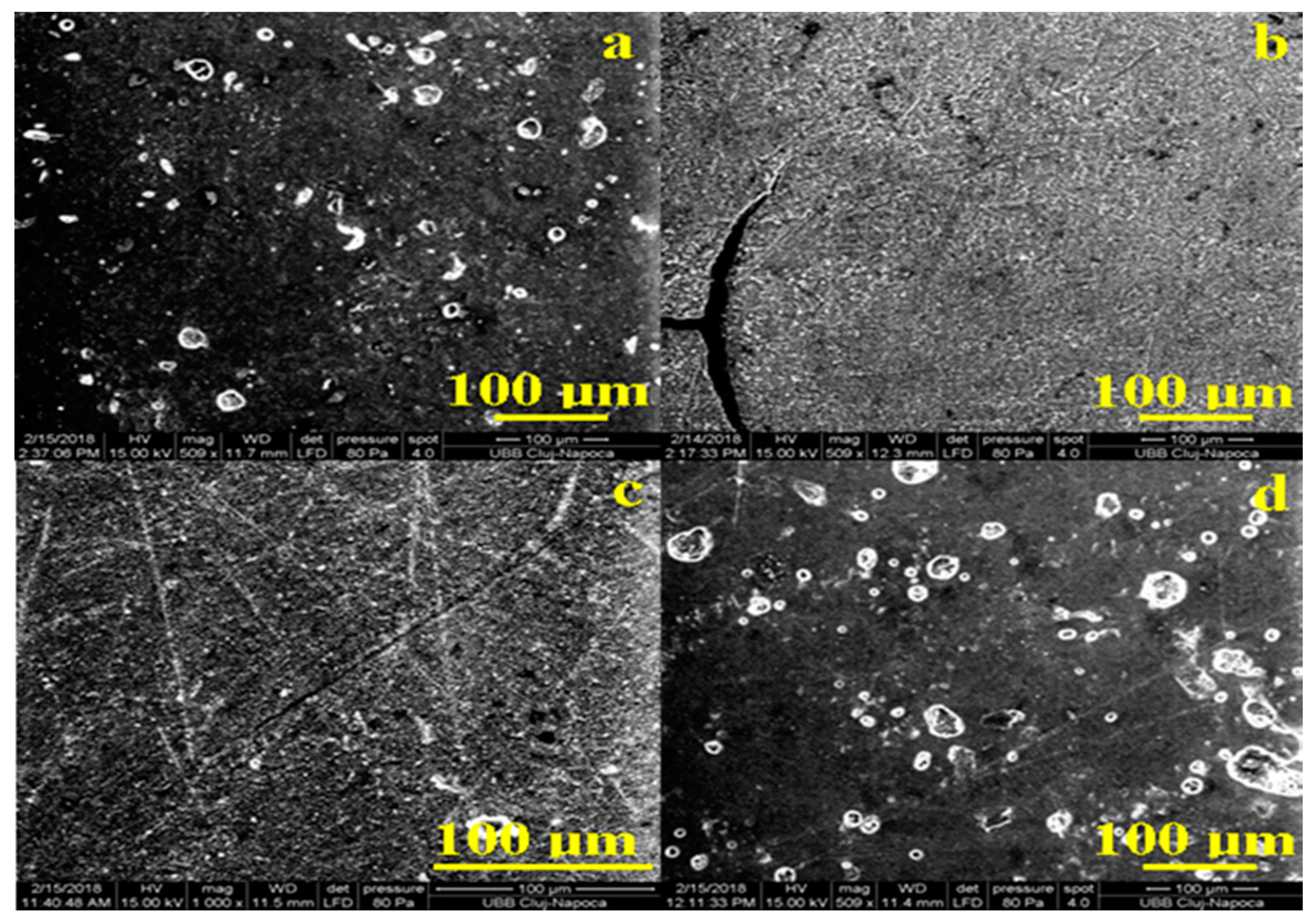 Coatings 10 00749 g003 Coatings 10 00749 g003