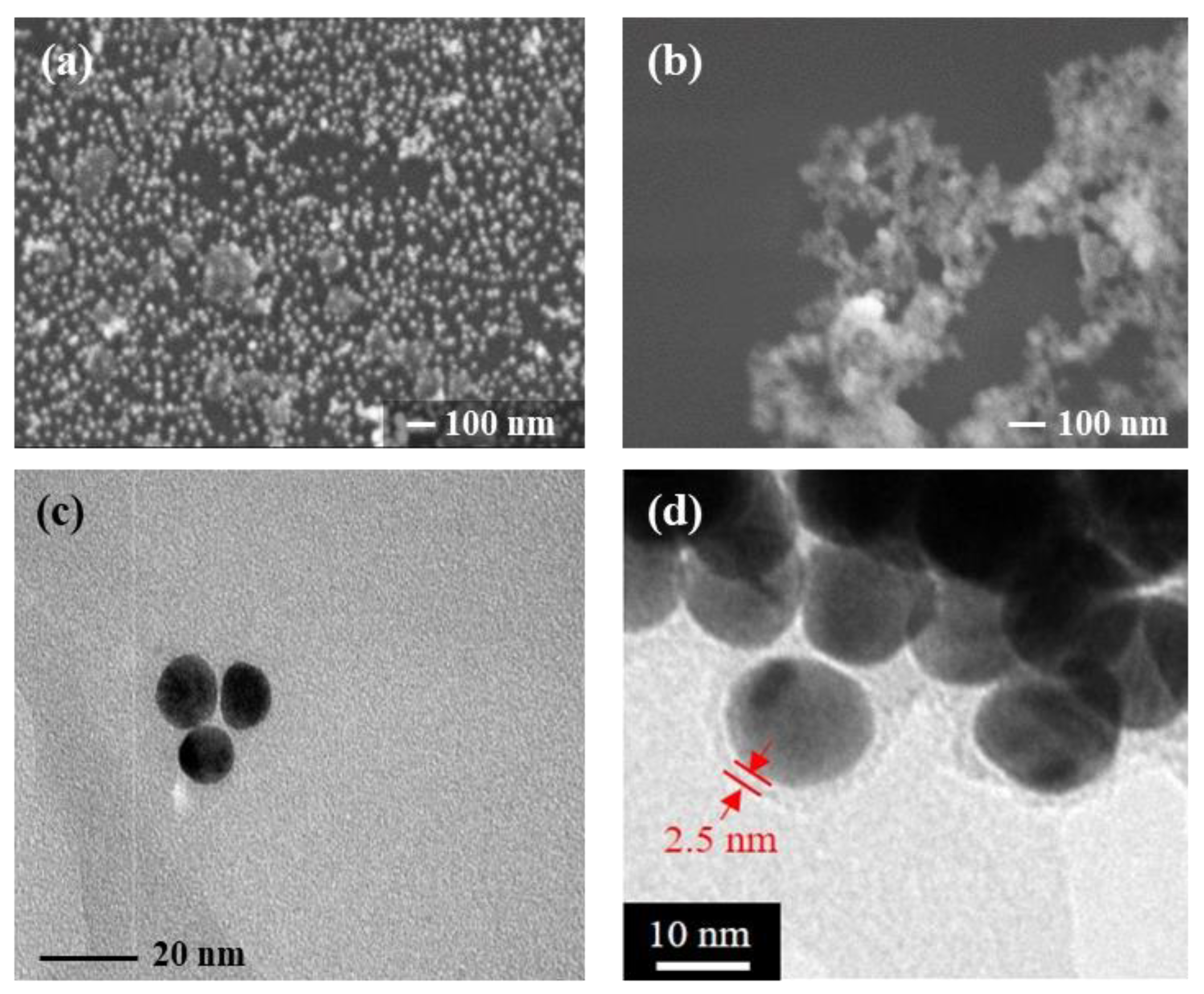 Coatings 10 00751 g002