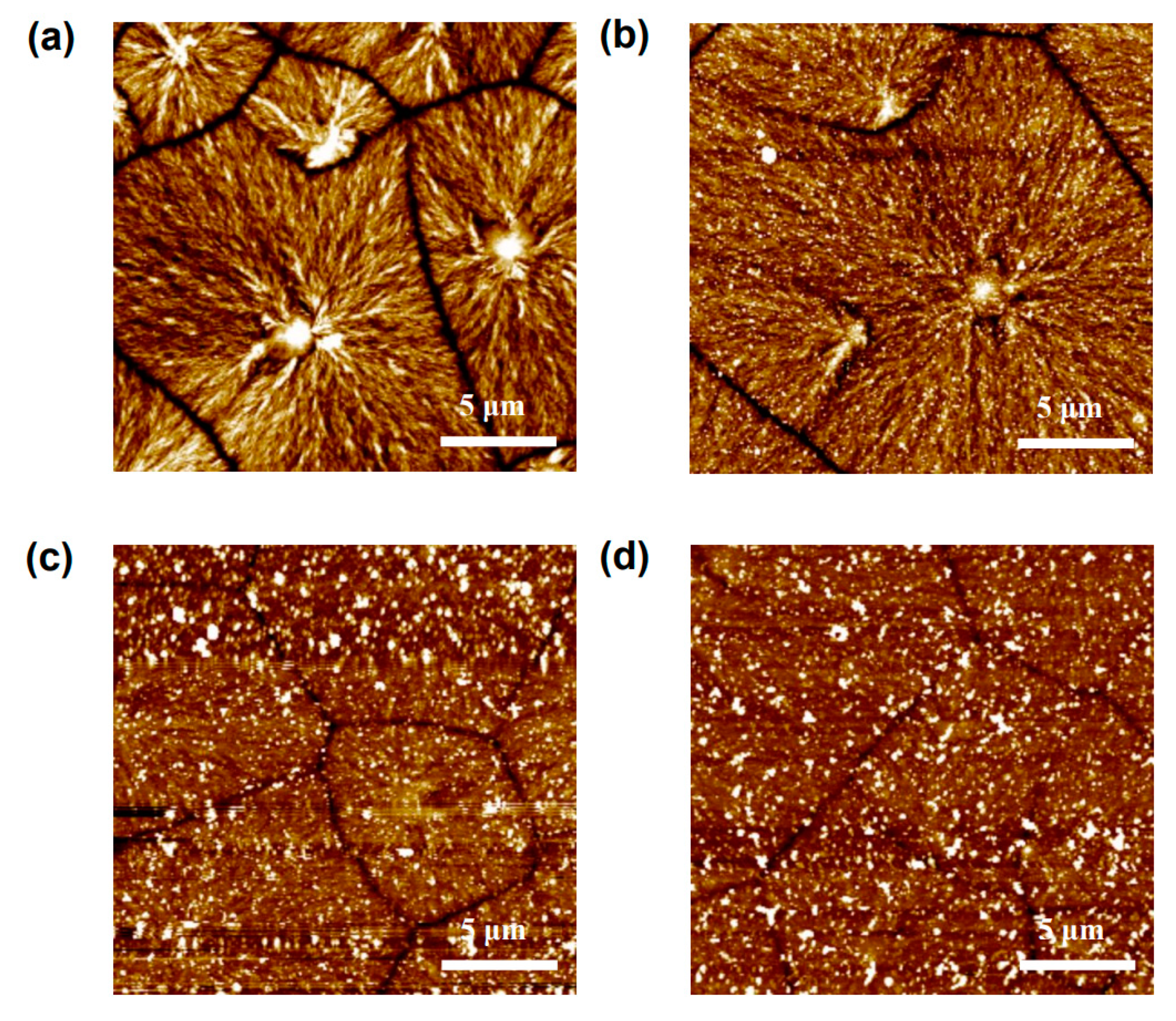 Coatings 10 00752 g004 Coatings 10 00752 g004