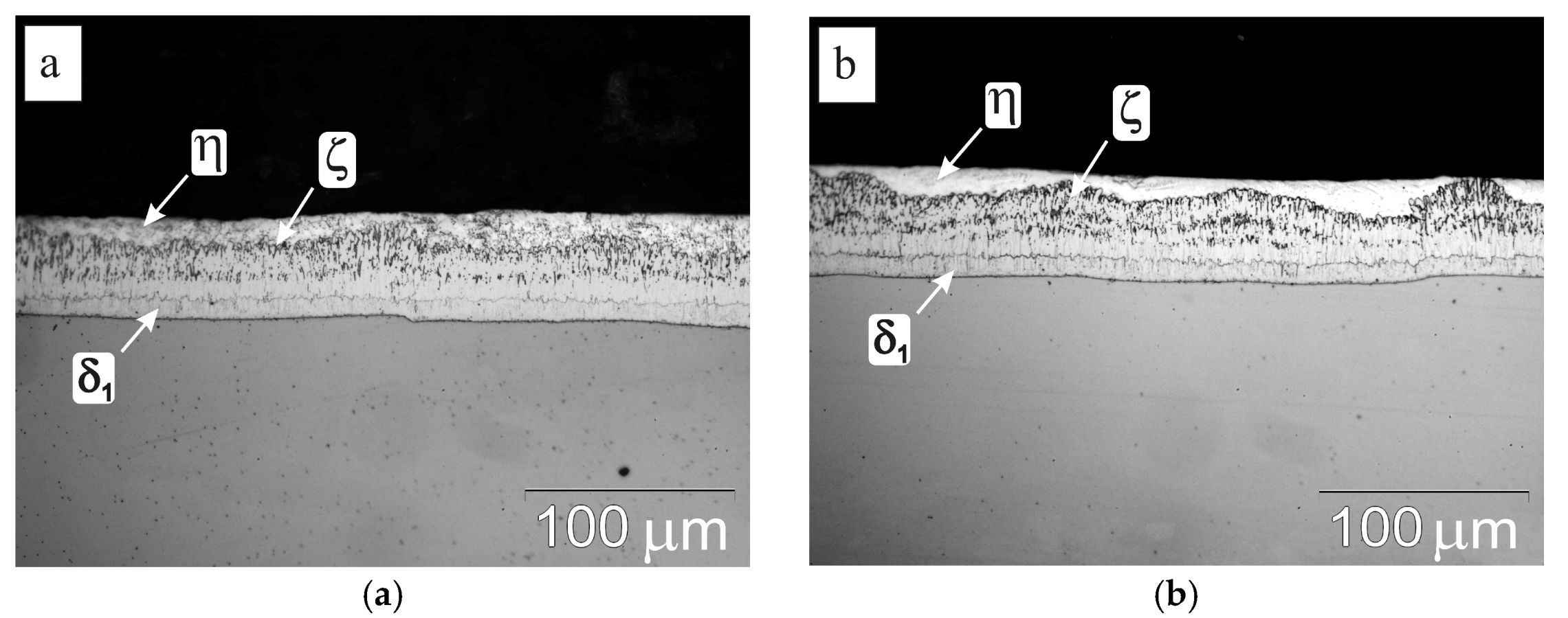 Coatings 10 00758 g002 Coatings 10 00758 g002