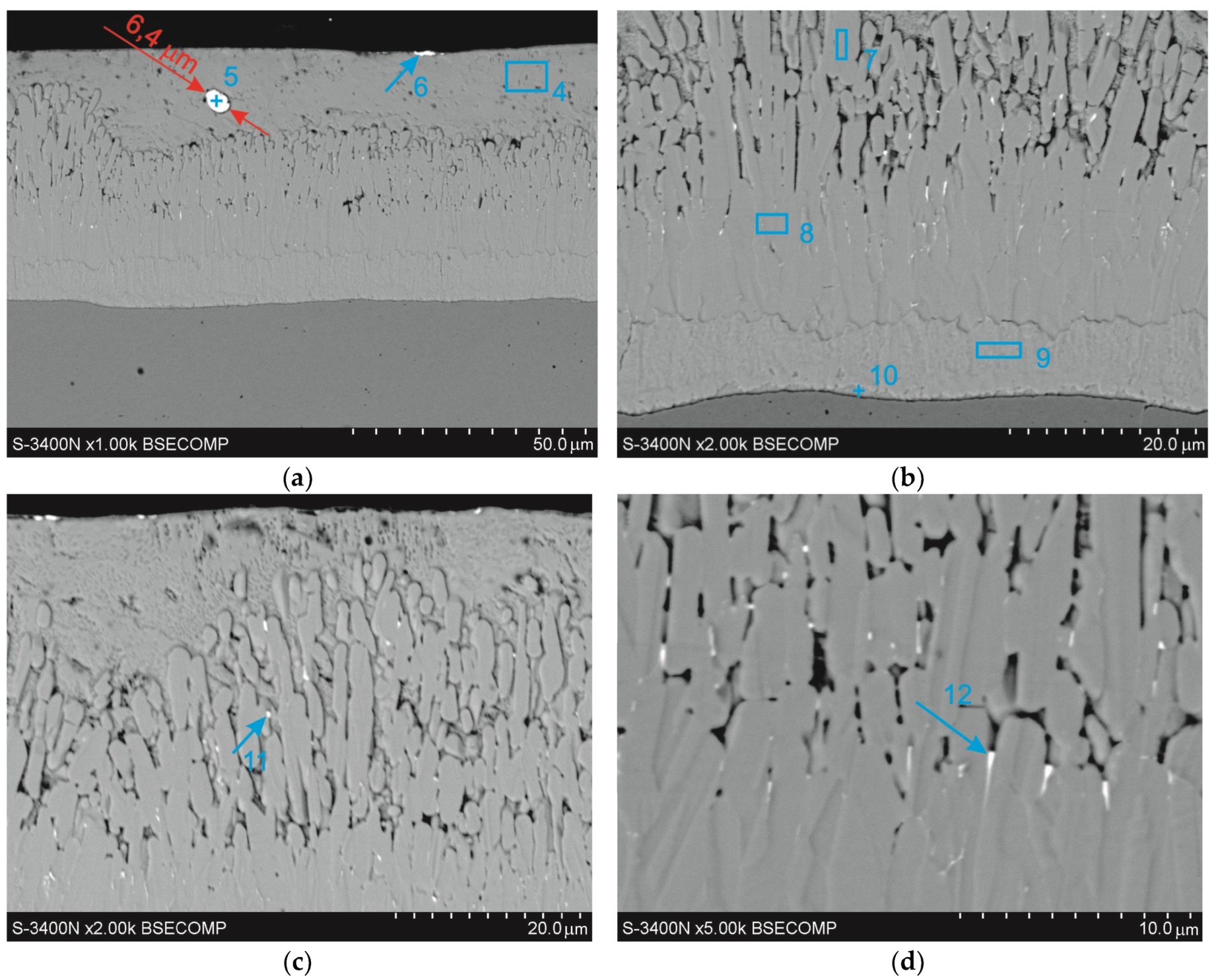 Coatings 10 00758 g005 Coatings 10 00758 g005