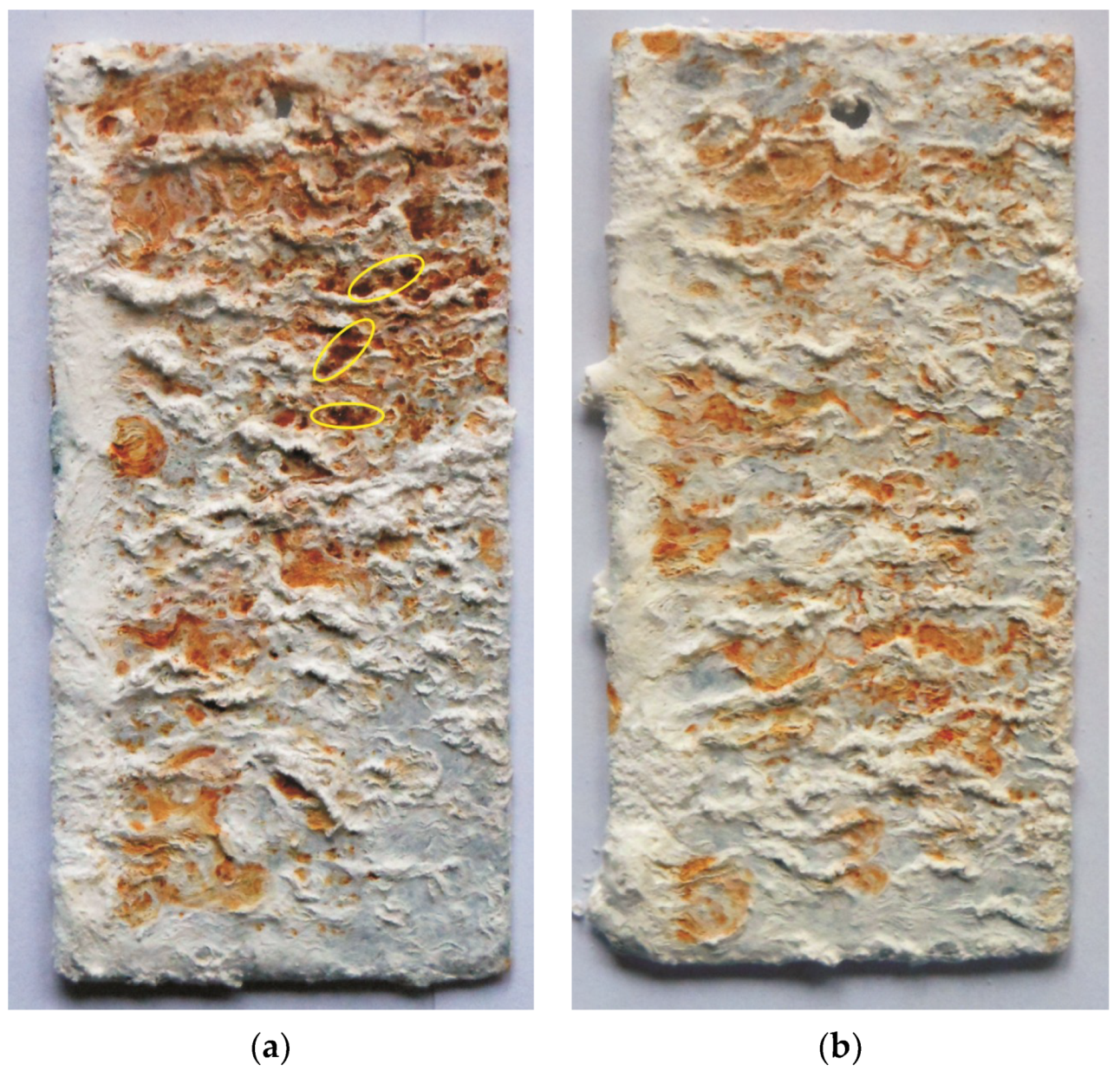 Coatings 10 00758 g006 Coatings 10 00758 g006