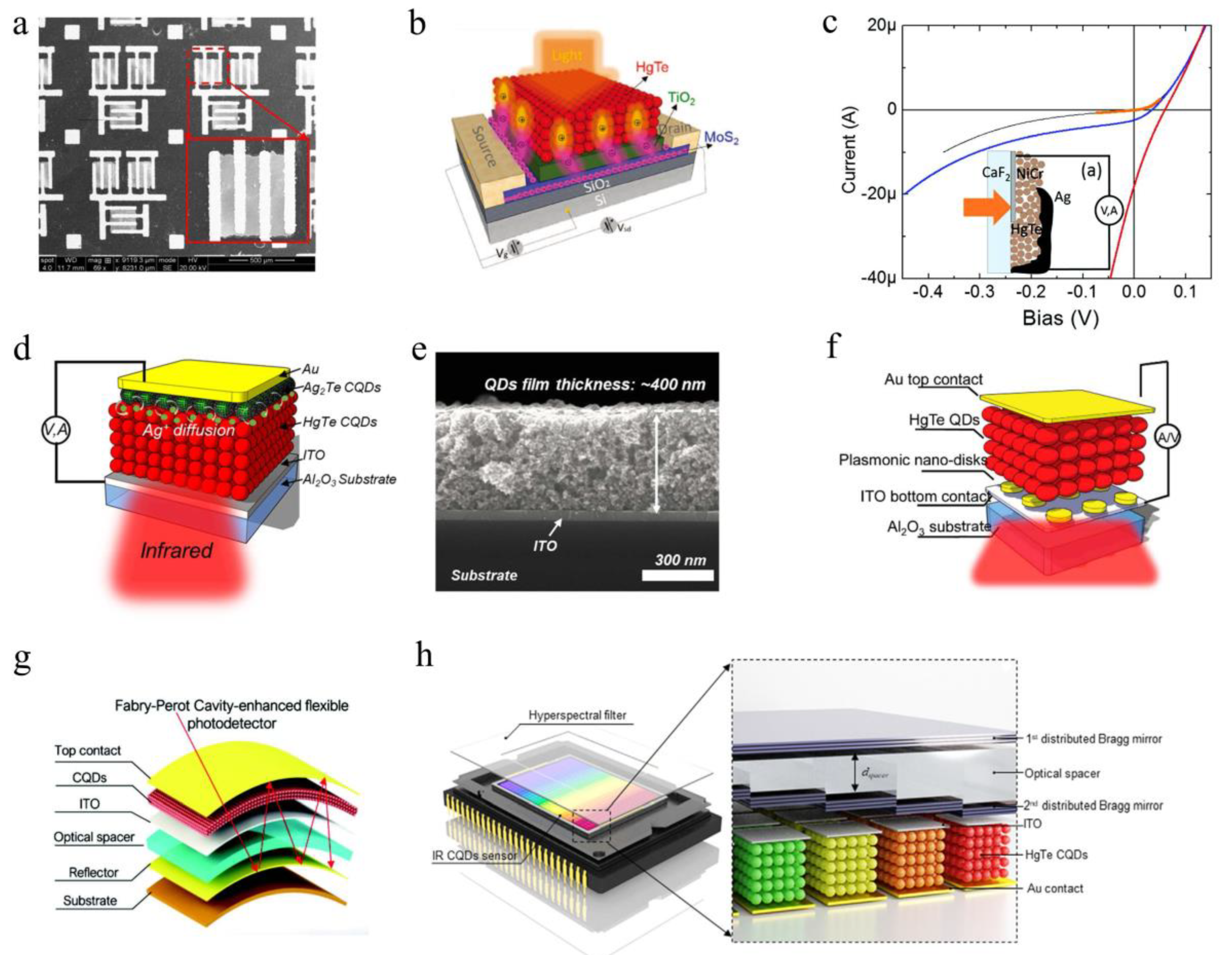 Coatings 10 00760 g003