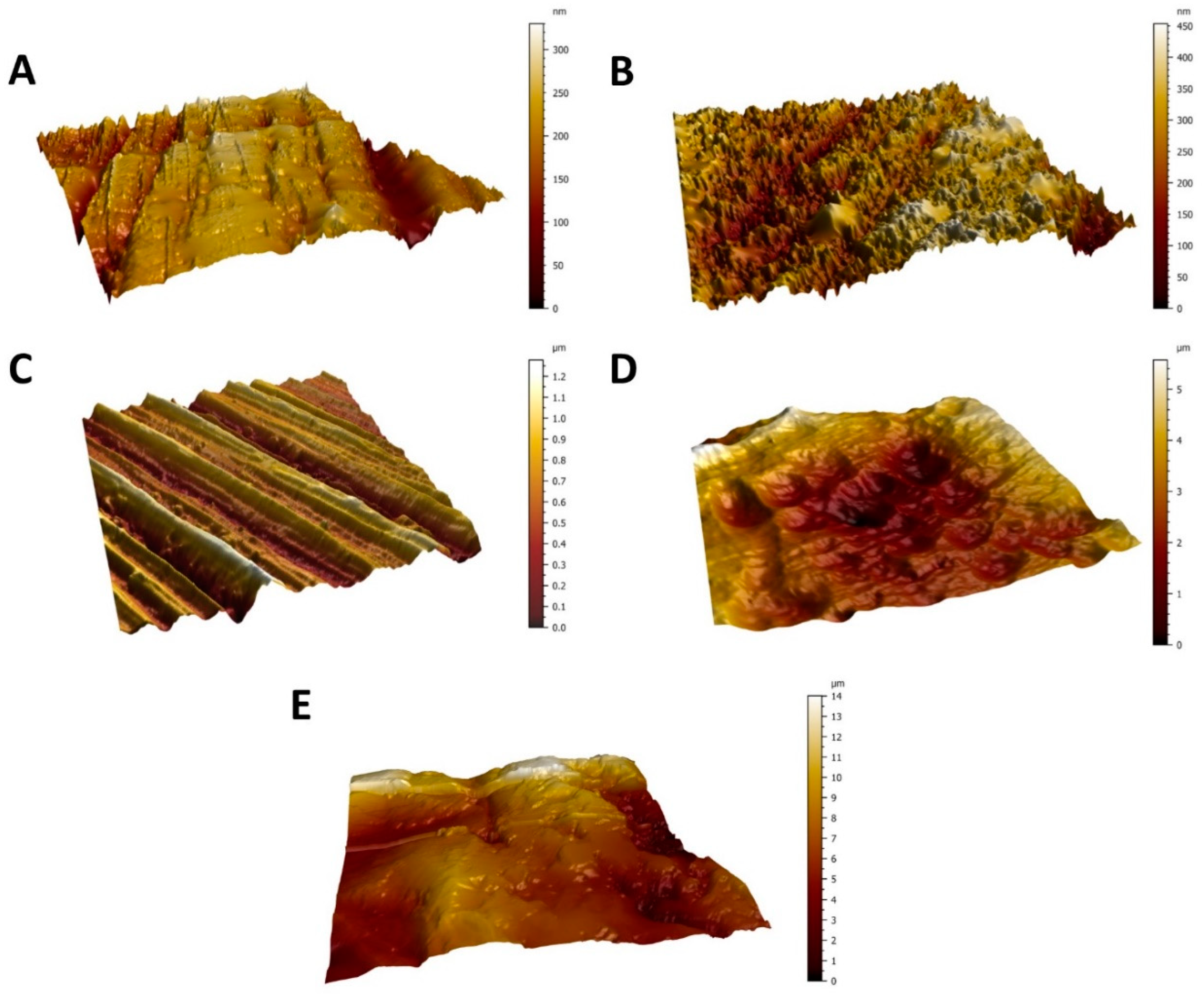 Coatings 10 00762 g001