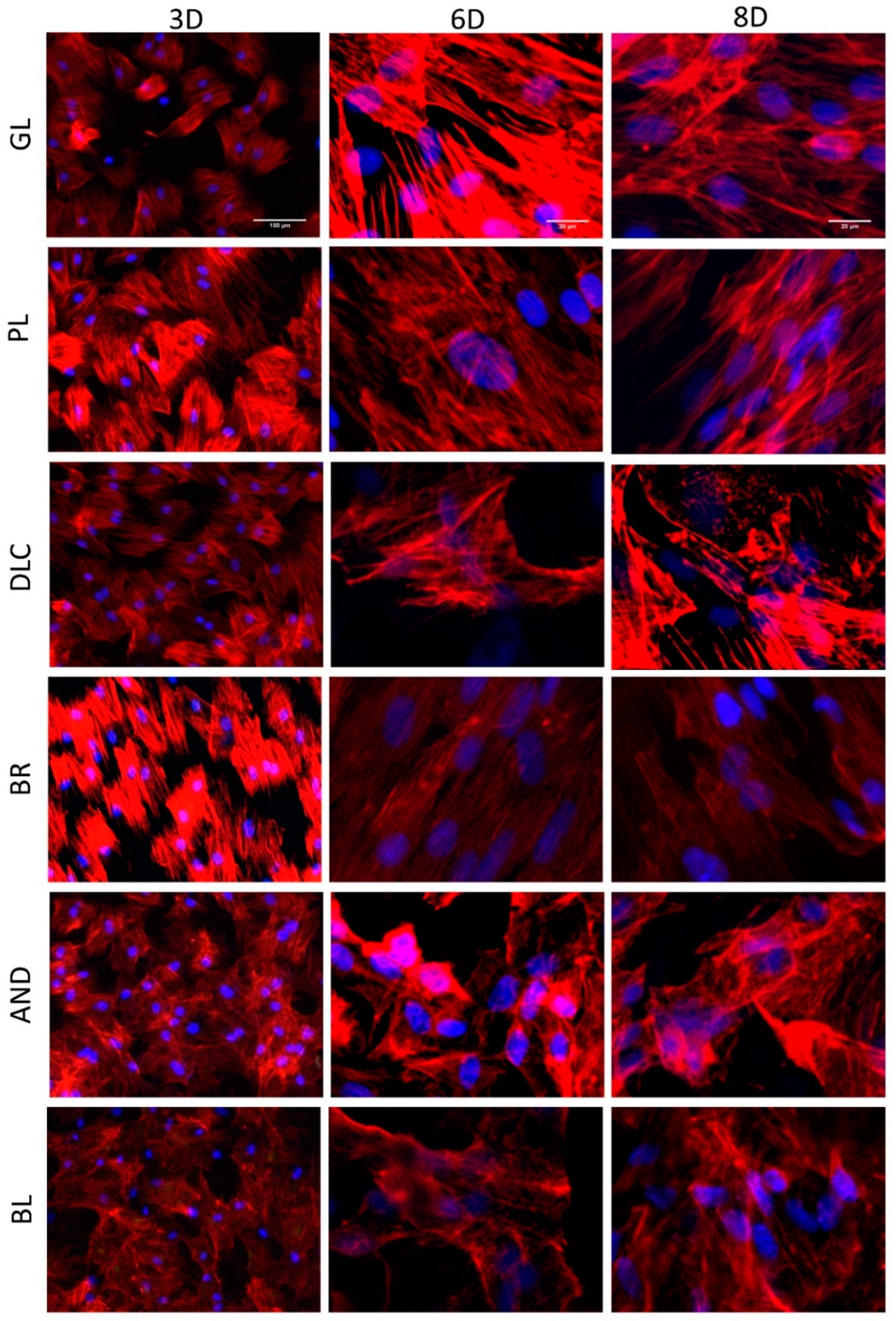 Coatings 10 00762 g006