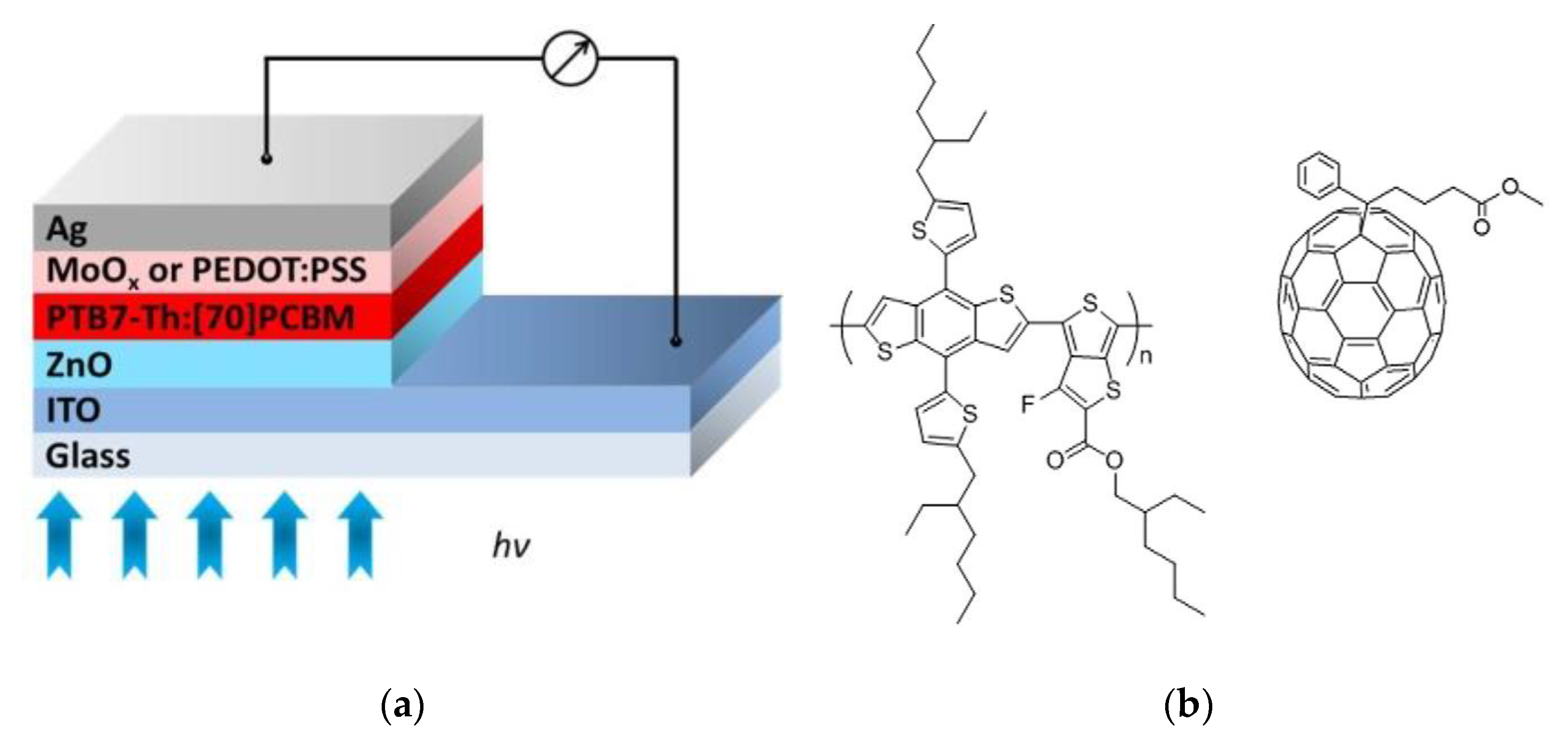 Coatings 10 00763 g002
