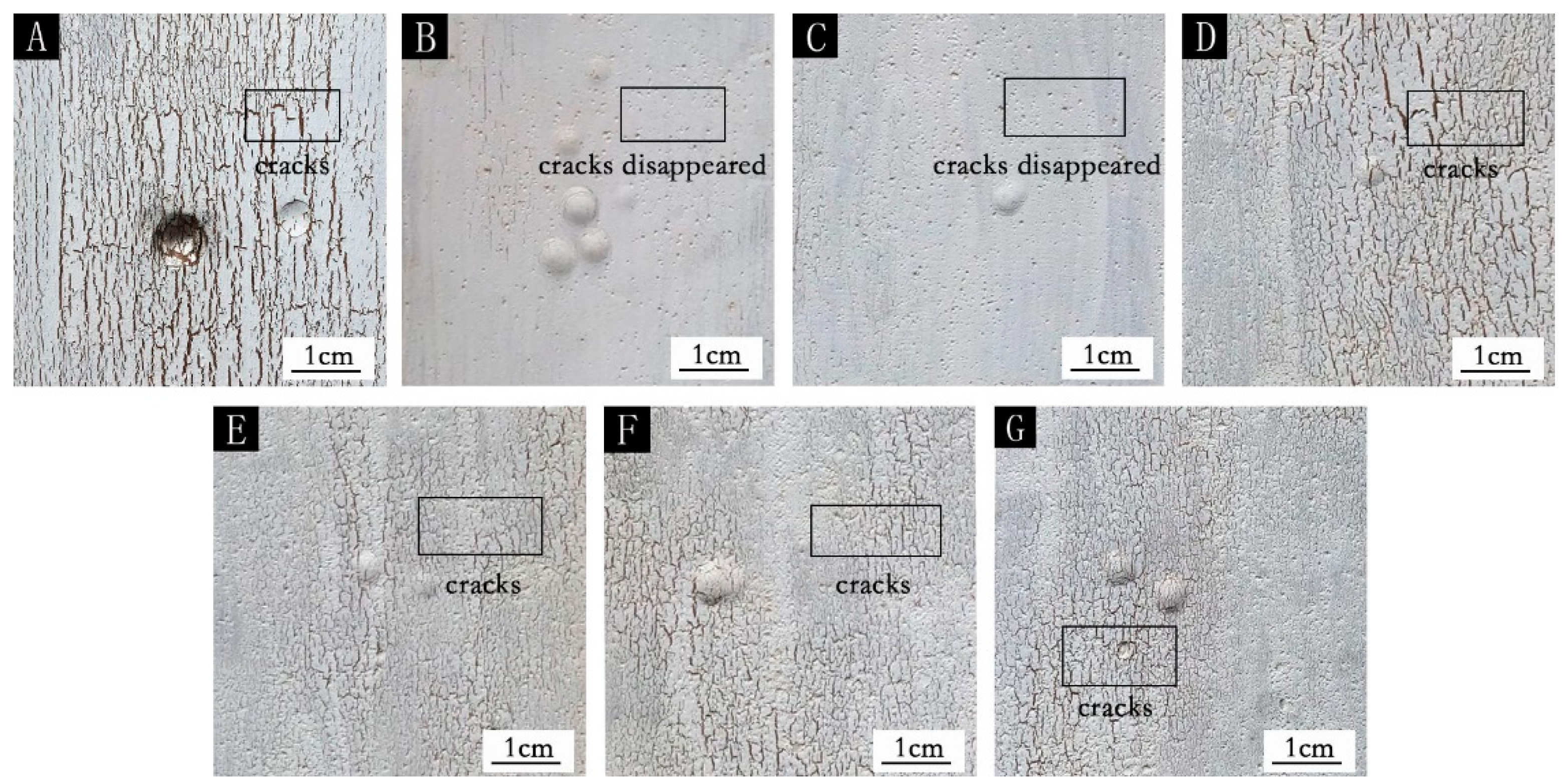 Coatings 10 00764 g005 Coatings 10 00764 g005