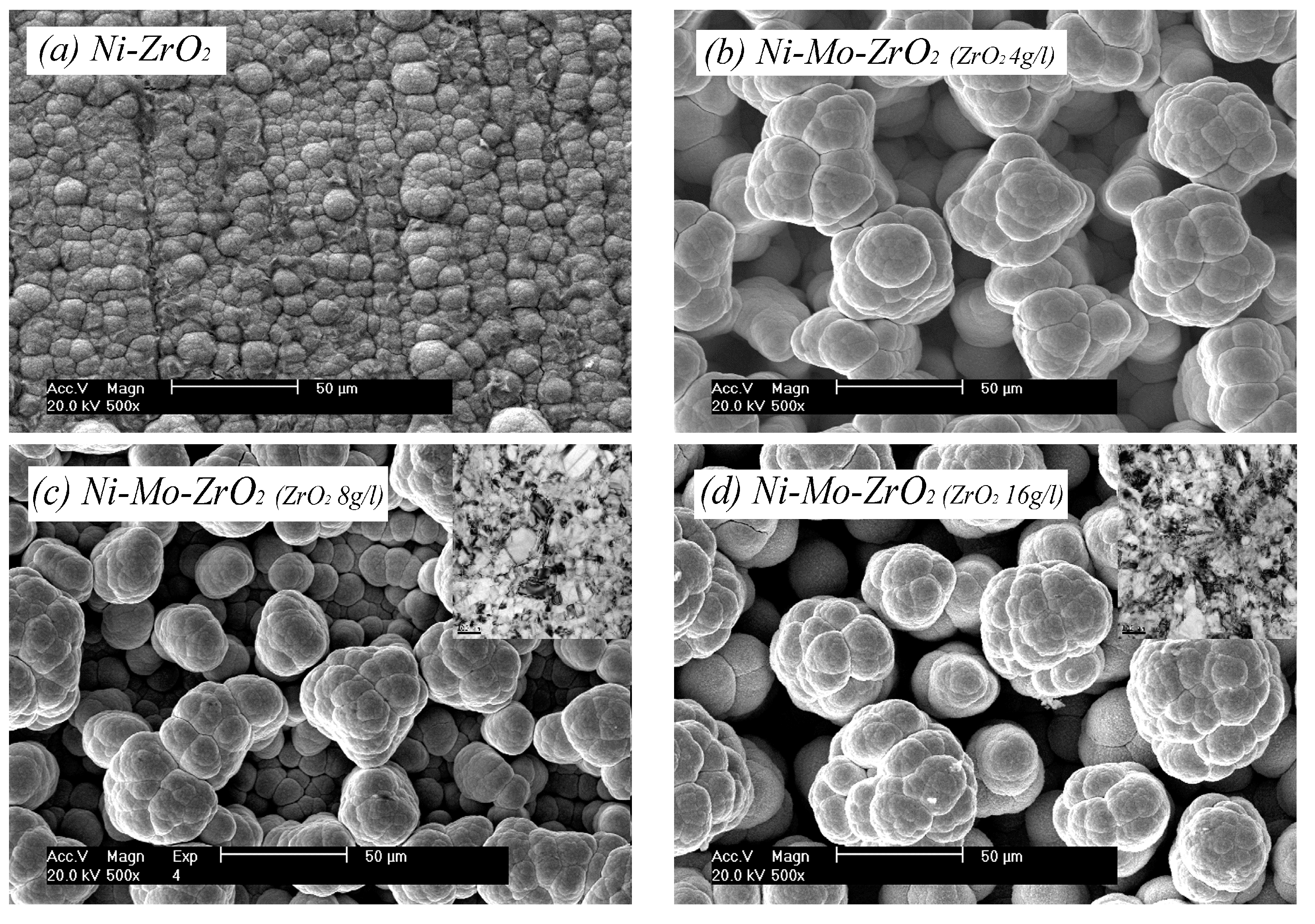 Coatings 10 00767 g003 Coatings 10 00767 g003