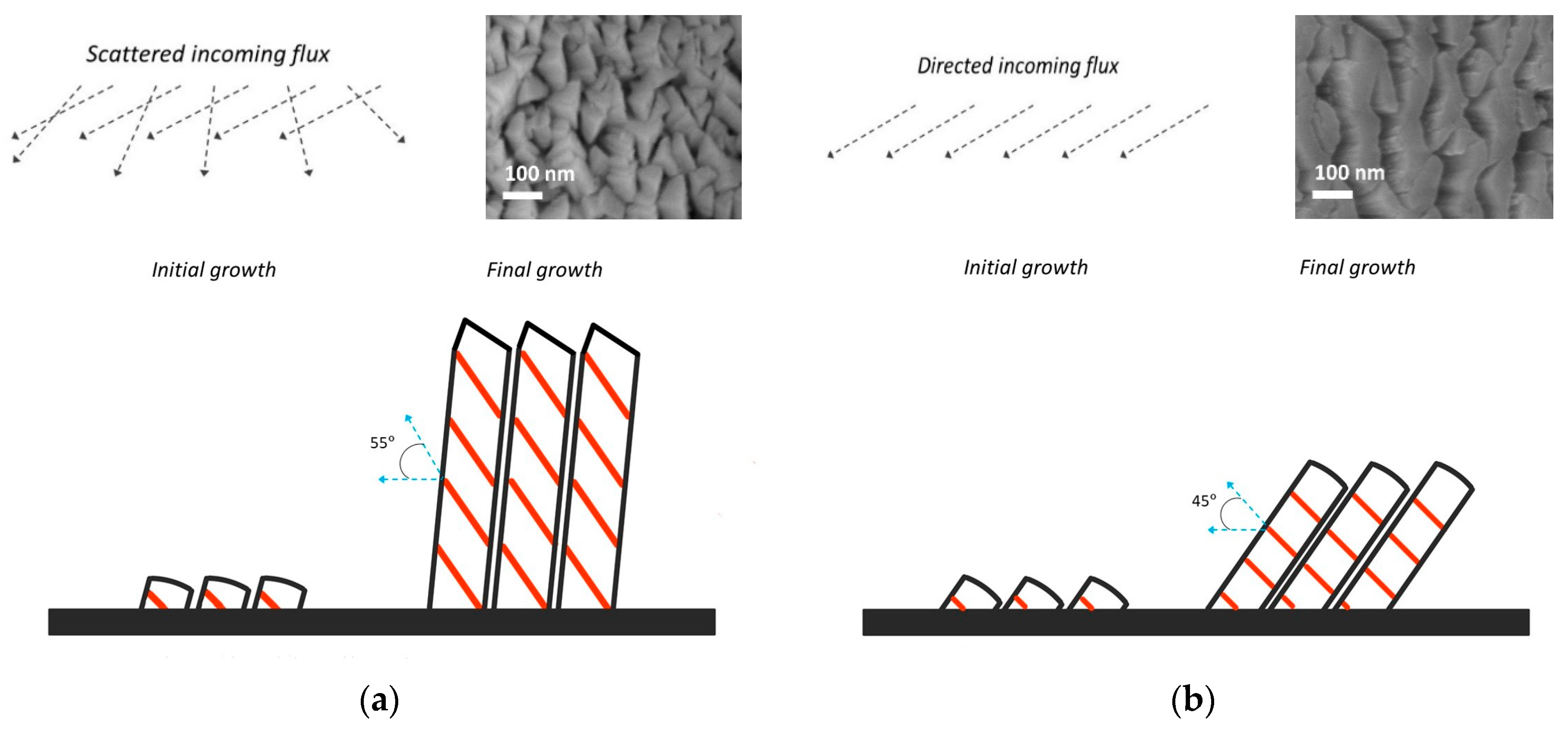 Coatings 10 00768 g013