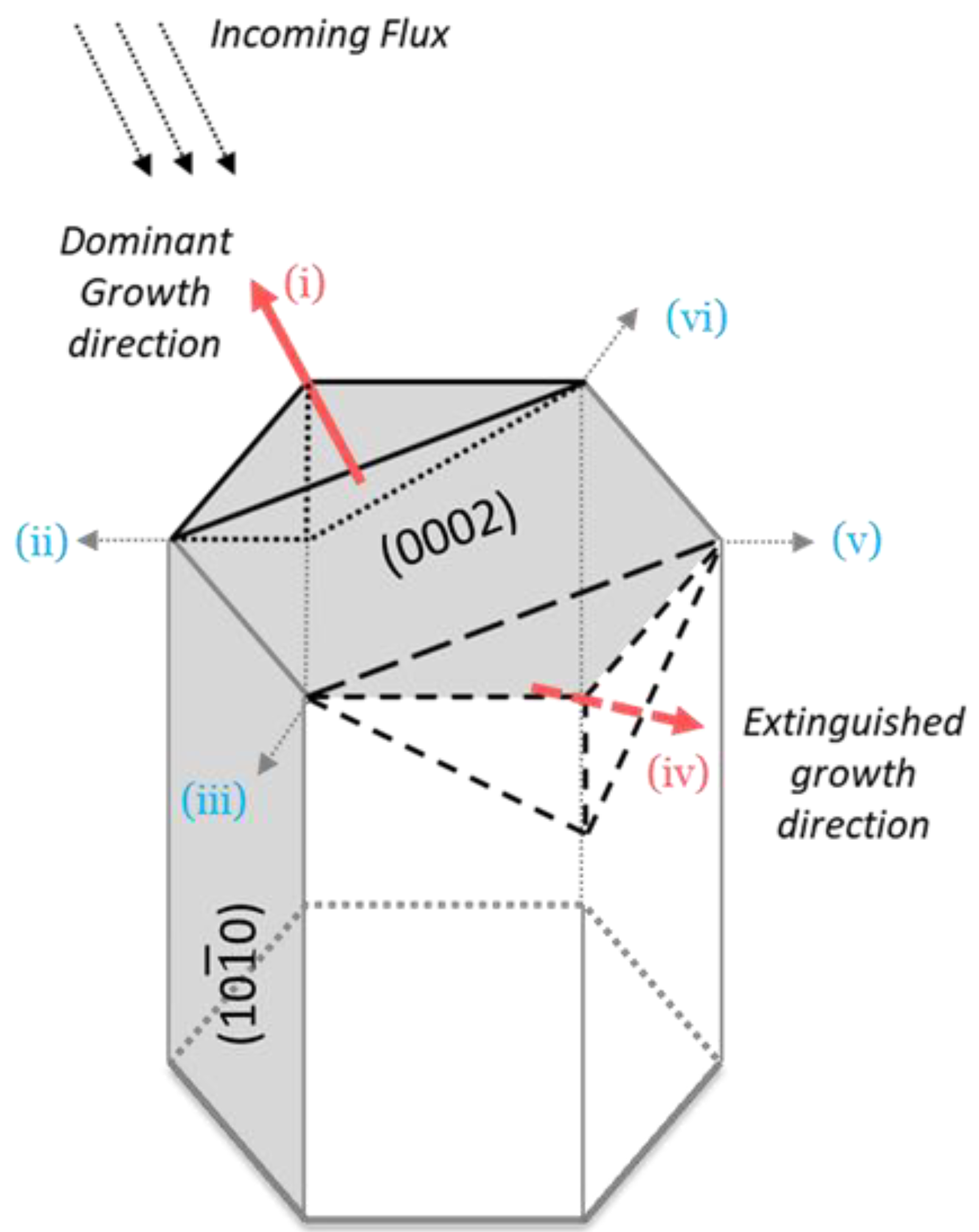 Coatings 10 00768 g015