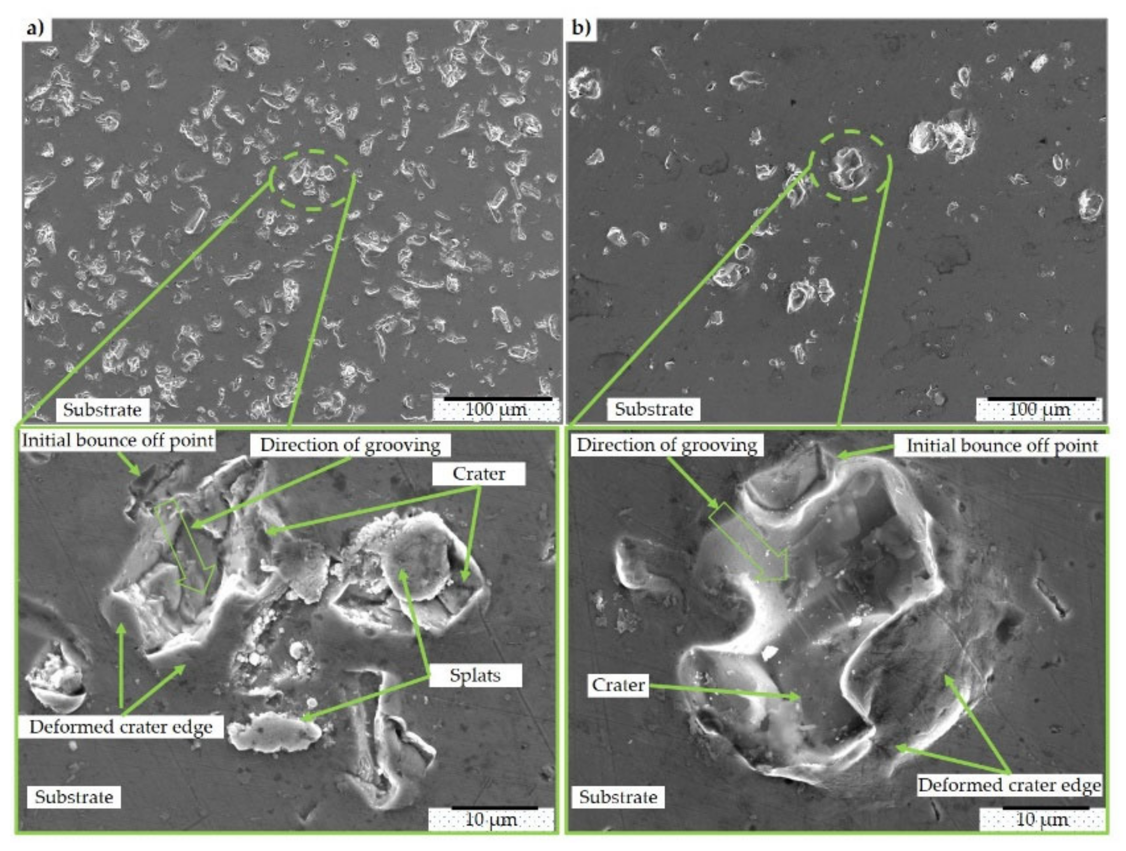Coatings 10 00769 g005