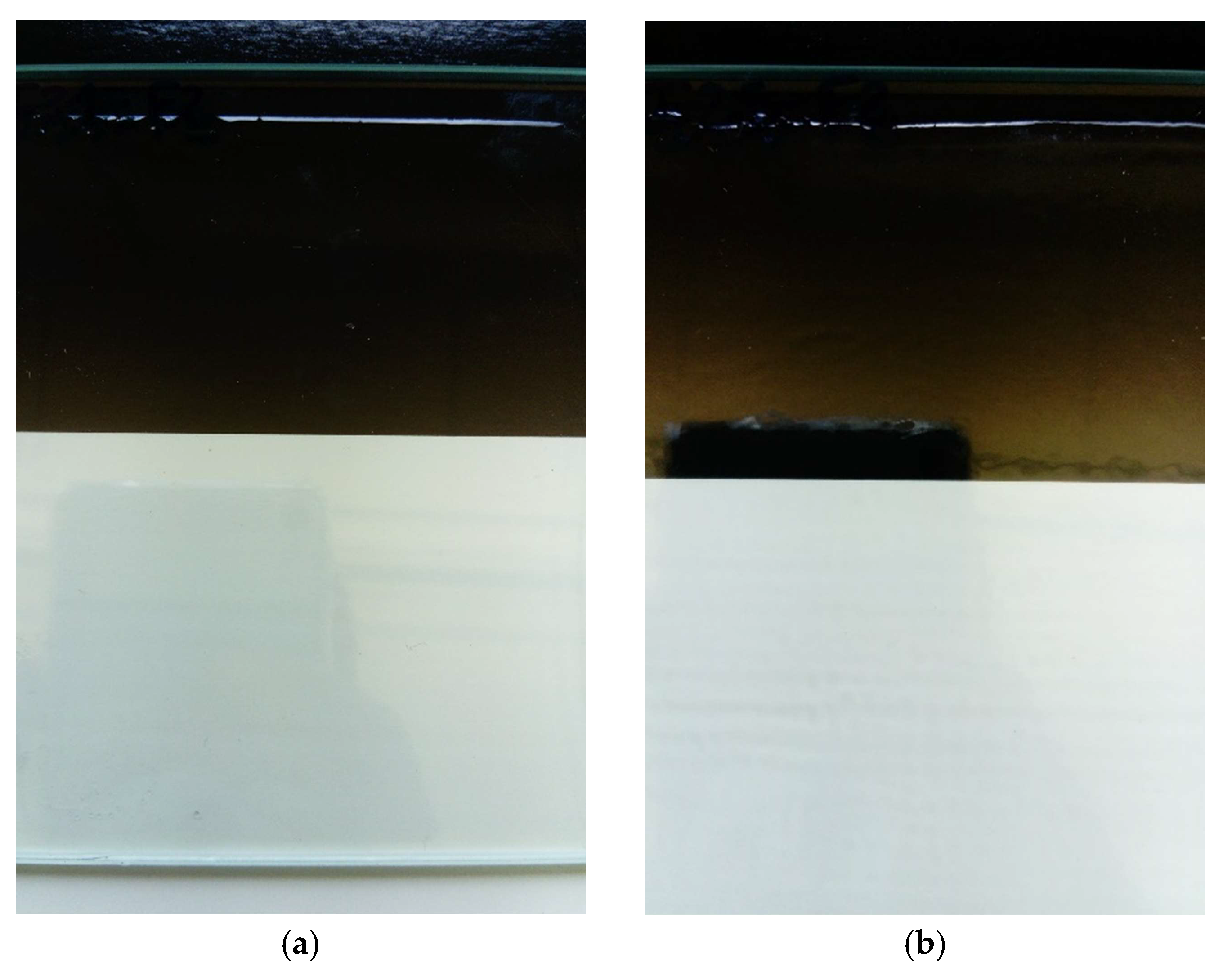 Coatings 10 00770 g006
