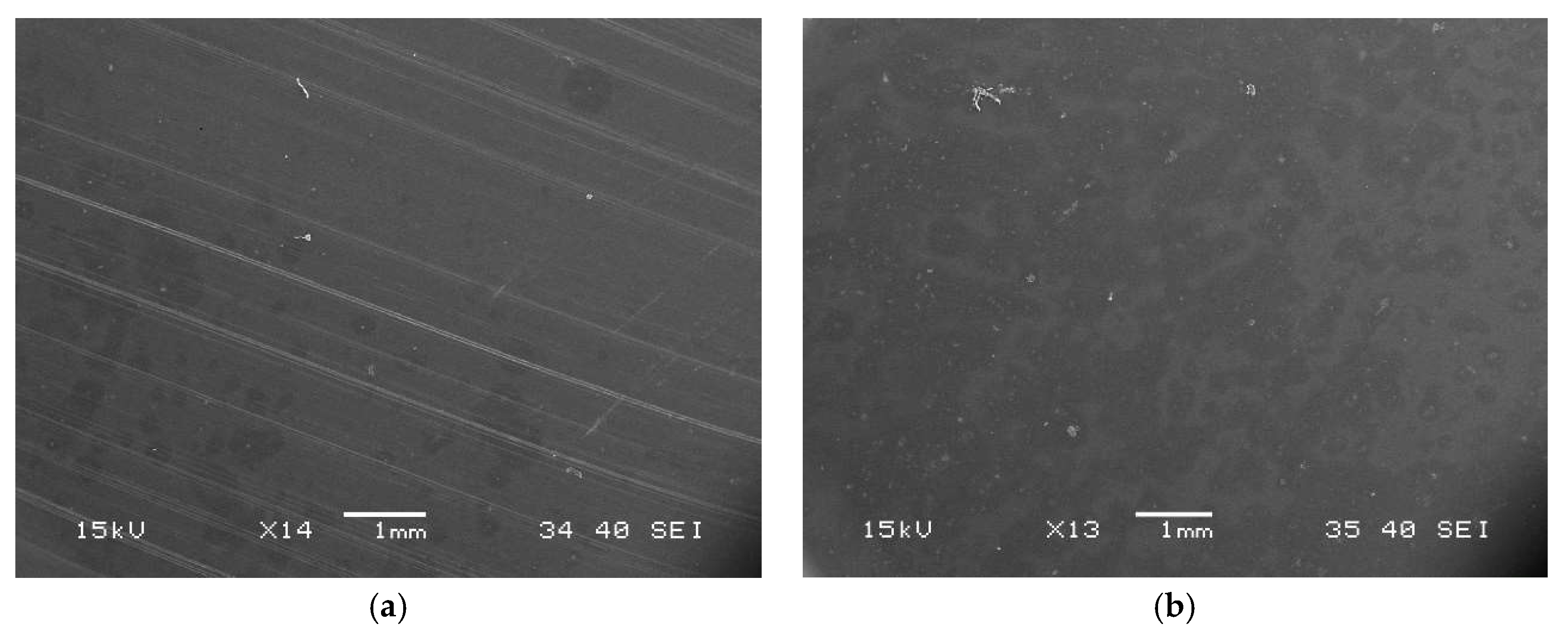 Coatings 10 00770 g008