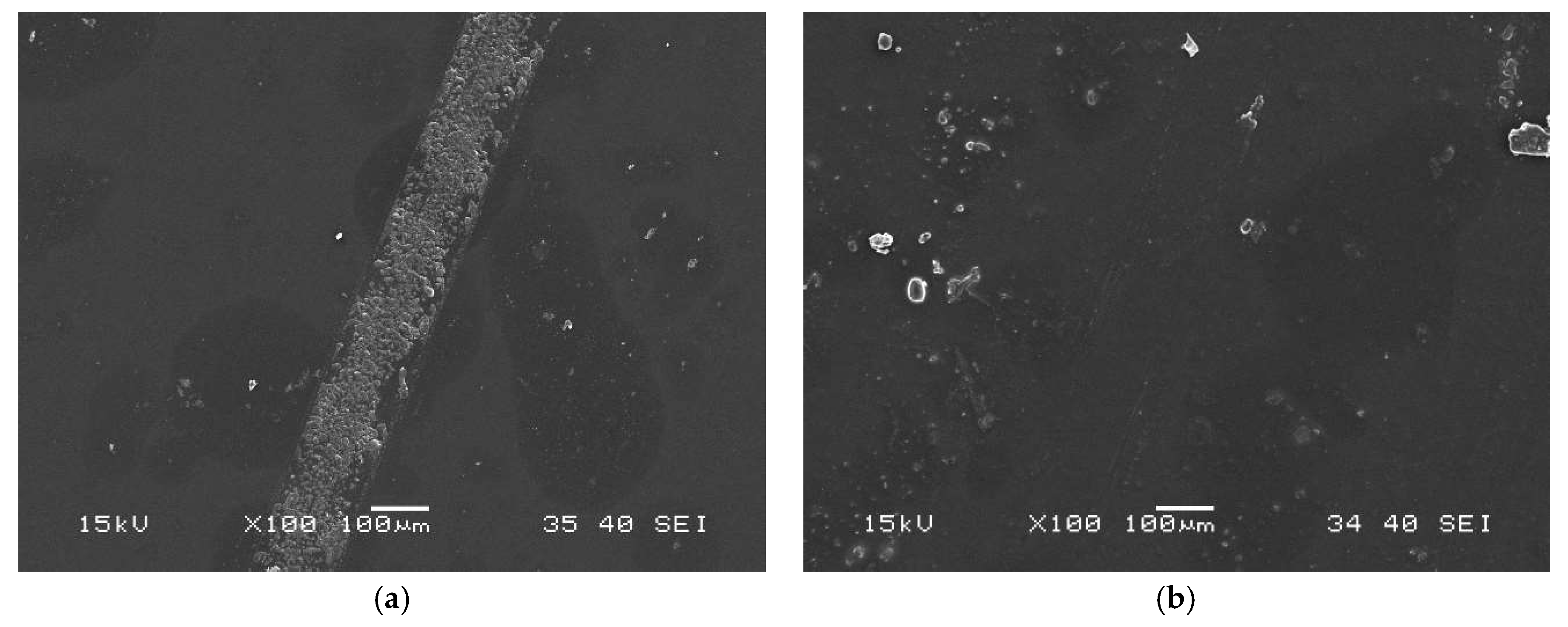 Coatings 10 00770 g011