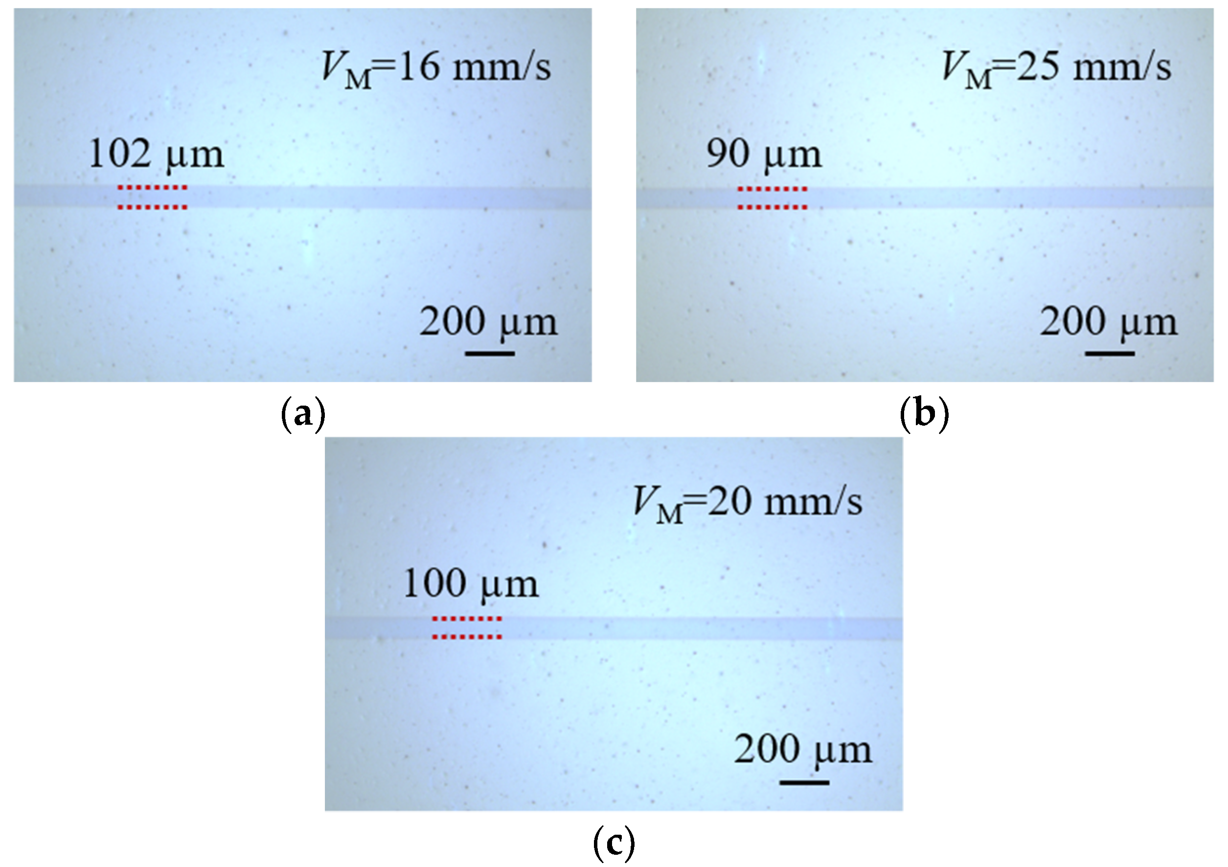 Coatings 10 00772 g007 Coatings 10 00772 g007