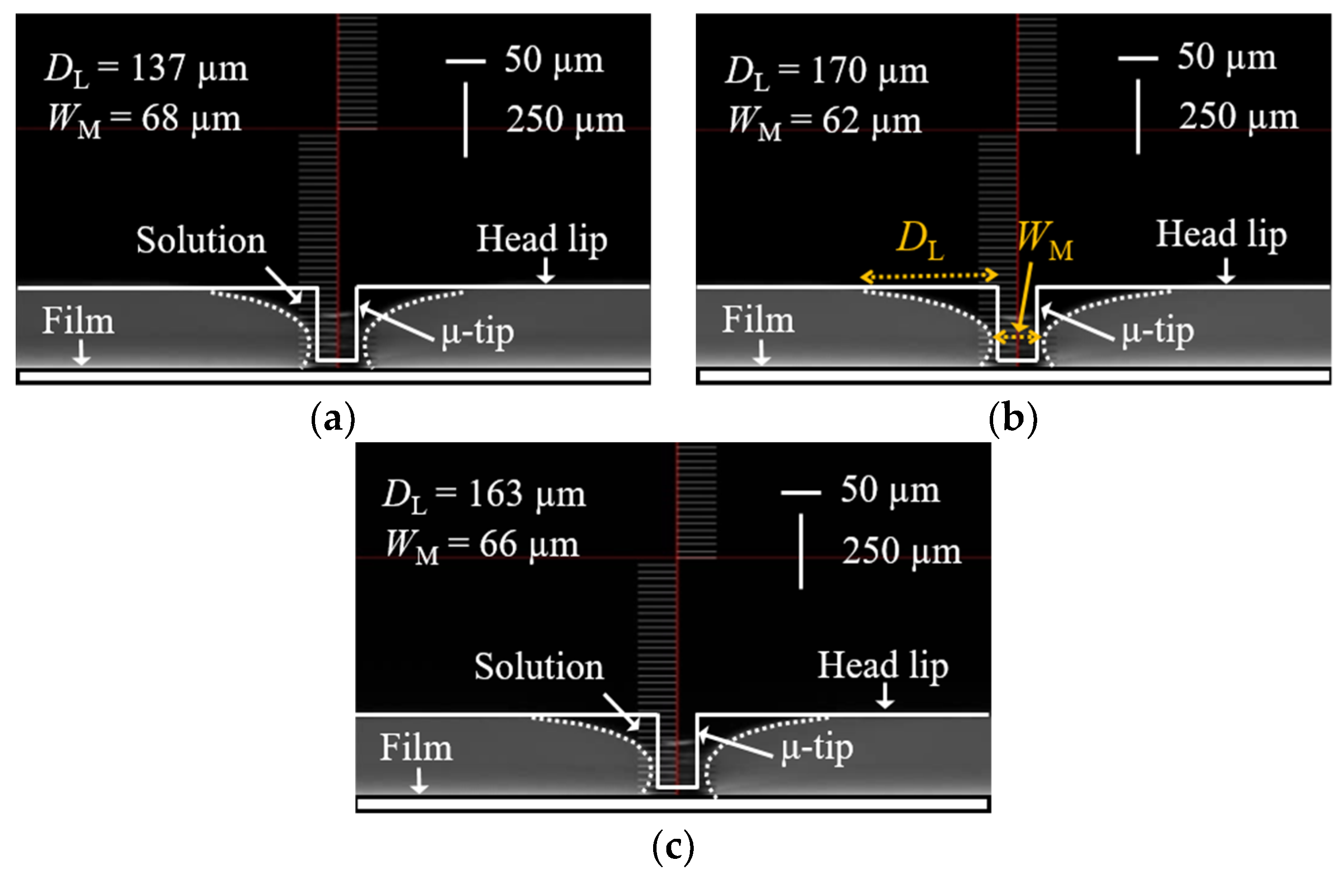 Coatings 10 00772 g008 Coatings 10 00772 g008