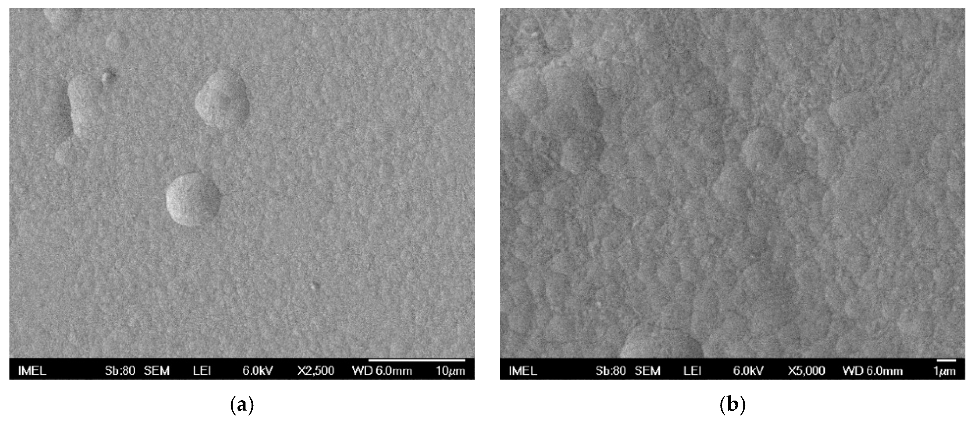 Coatings 10 00775 g004 Coatings 10 00775 g004