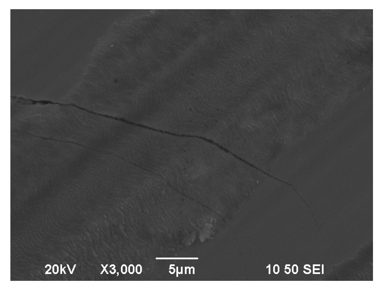 Coatings 10 00775 g016 Coatings 10 00775 g016