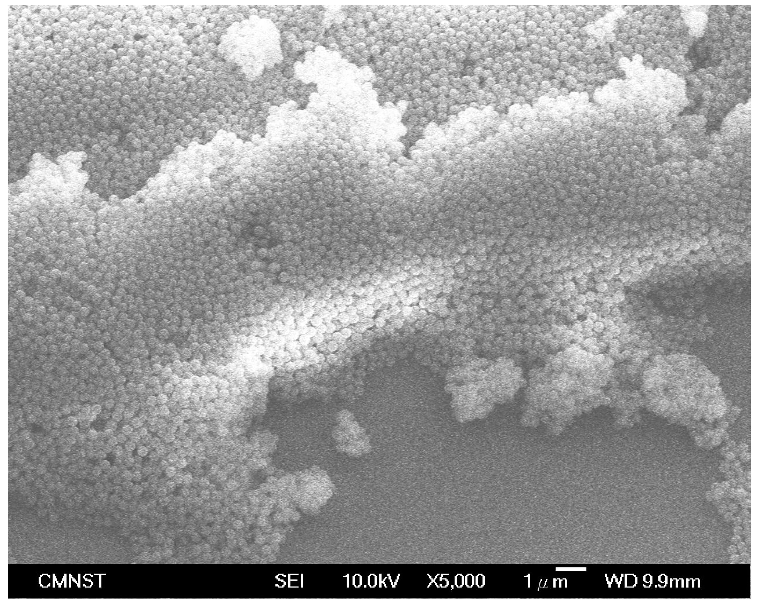 Coatings 10 00781 g003 Coatings 10 00781 g003