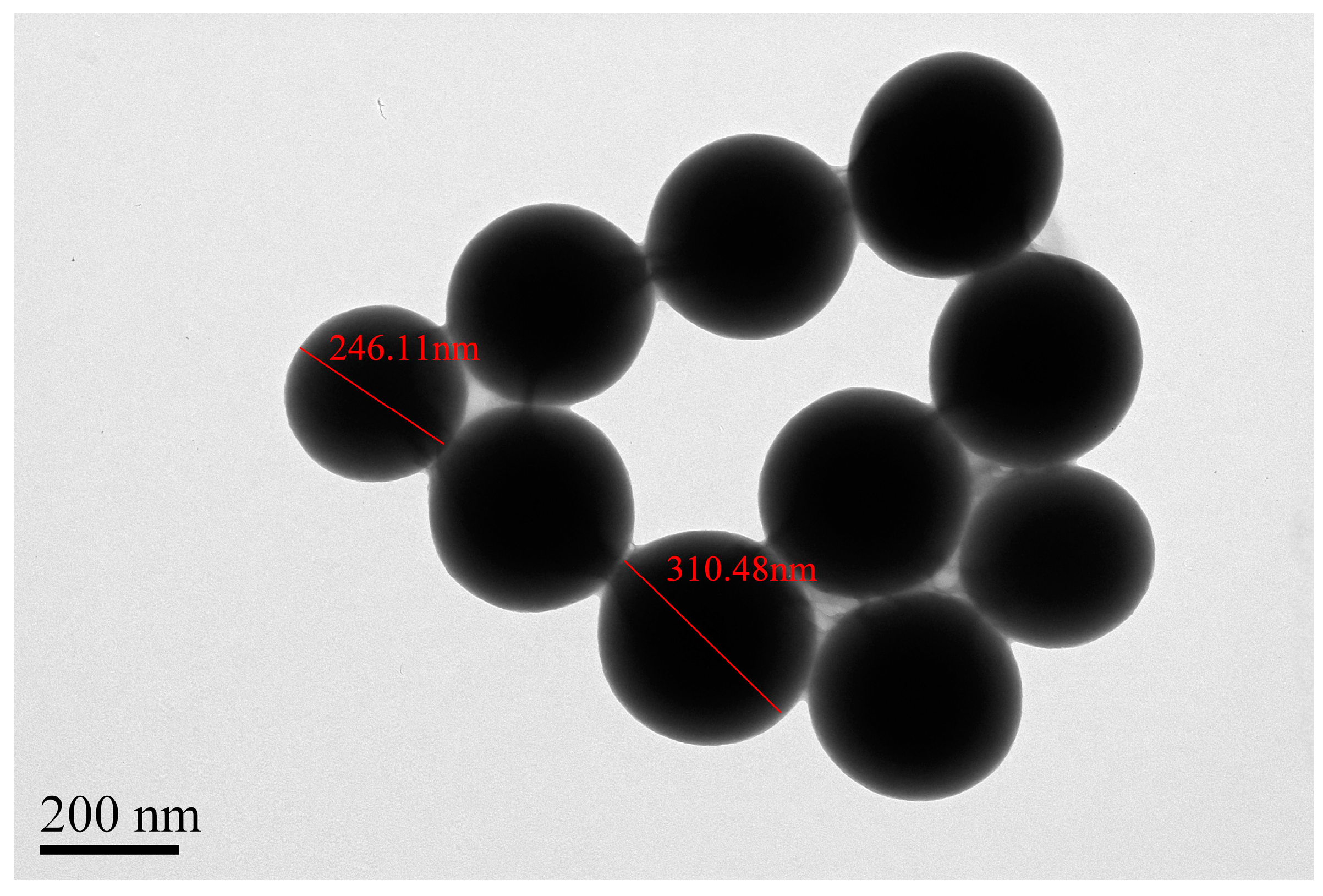 Coatings 10 00781 g004 Coatings 10 00781 g004