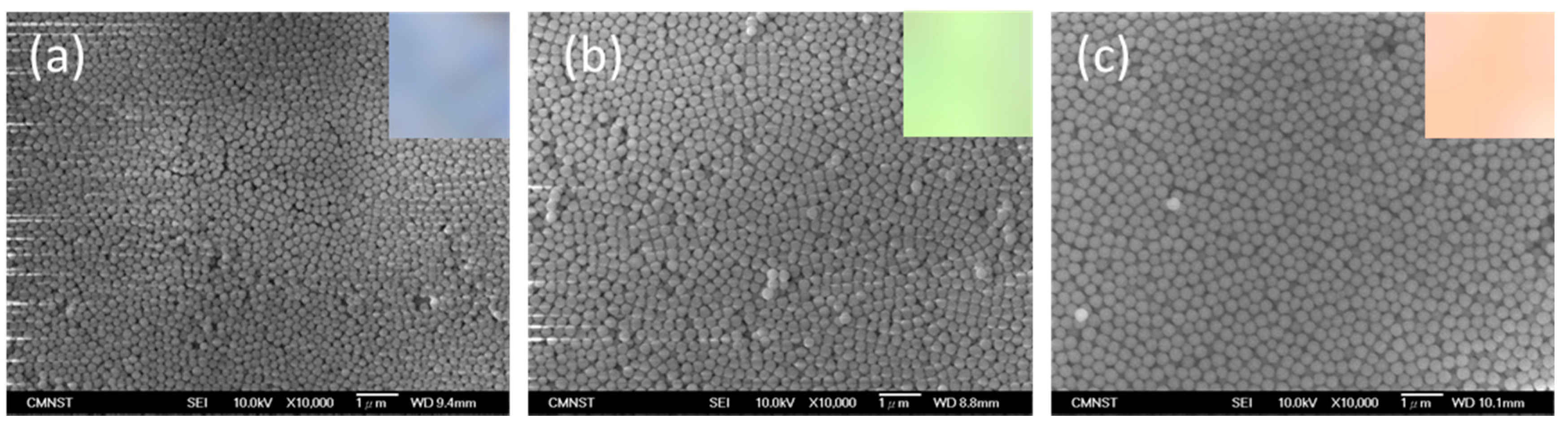 Coatings 10 00781 g006 Coatings 10 00781 g006