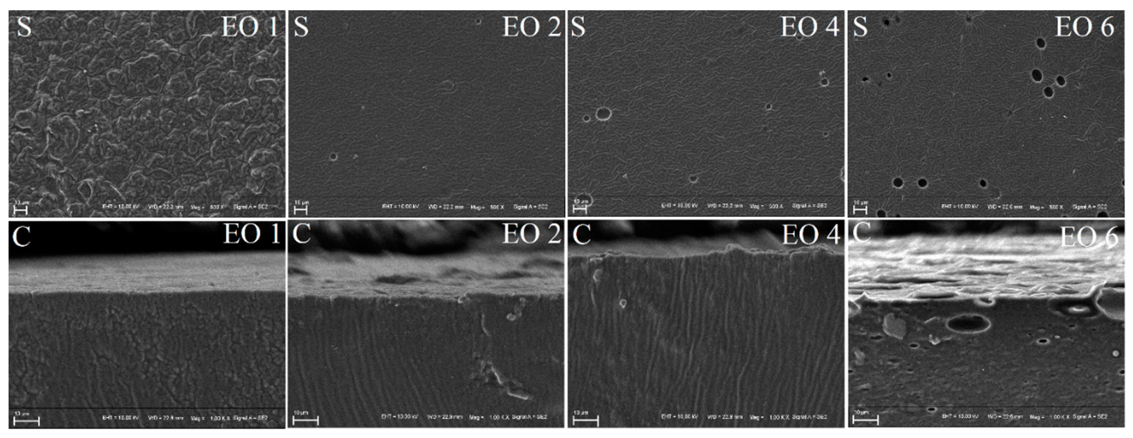 Coatings 10 00784 g005 Coatings 10 00784 g005