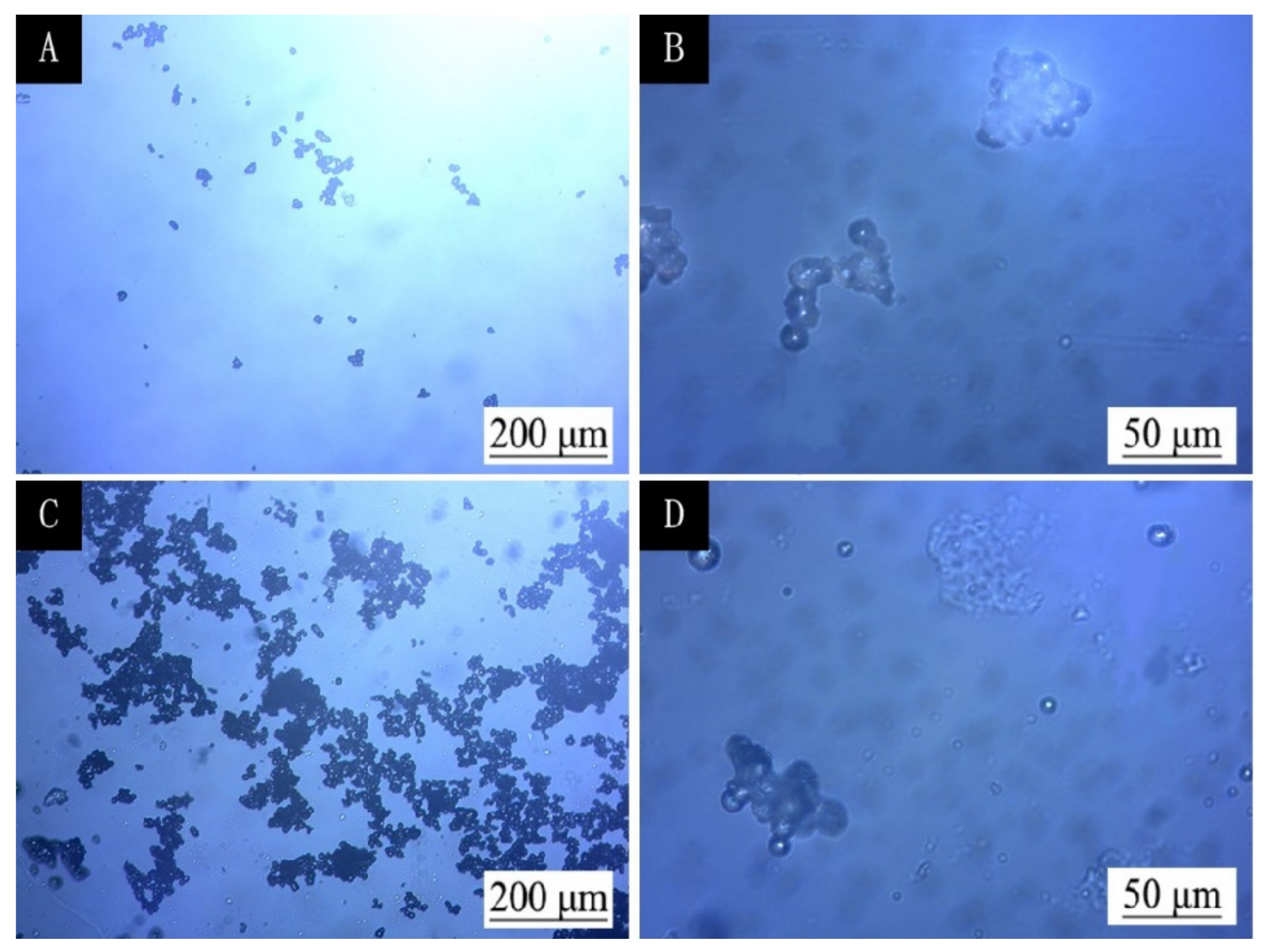 Coatings 10 00785 g002 Coatings 10 00785 g002
