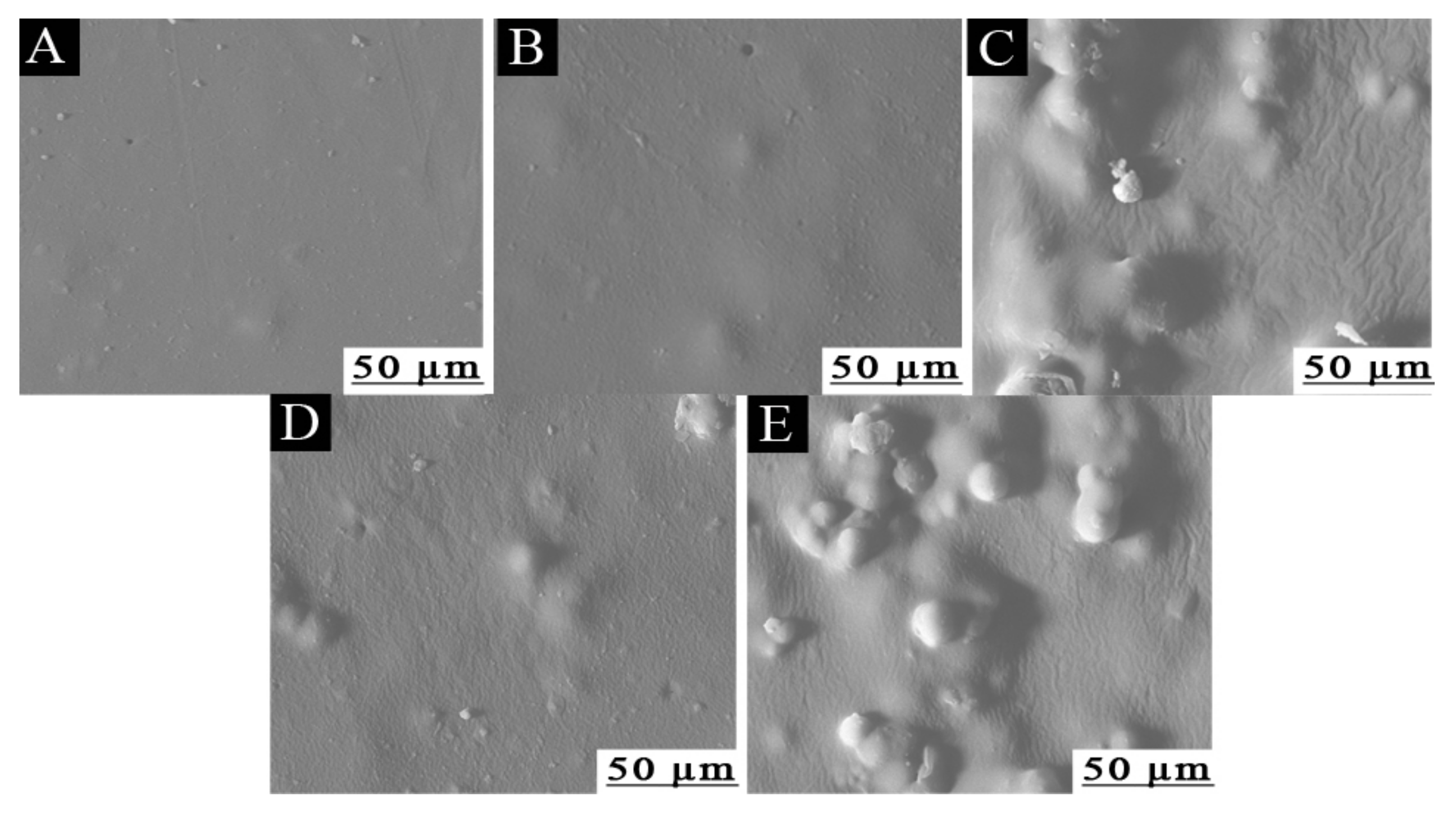 Coatings 10 00785 g004 Coatings 10 00785 g004