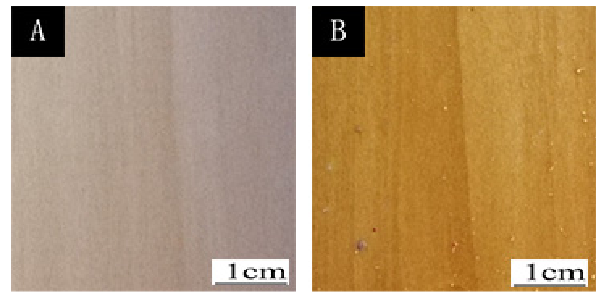 Coatings 10 00785 g006 Coatings 10 00785 g006