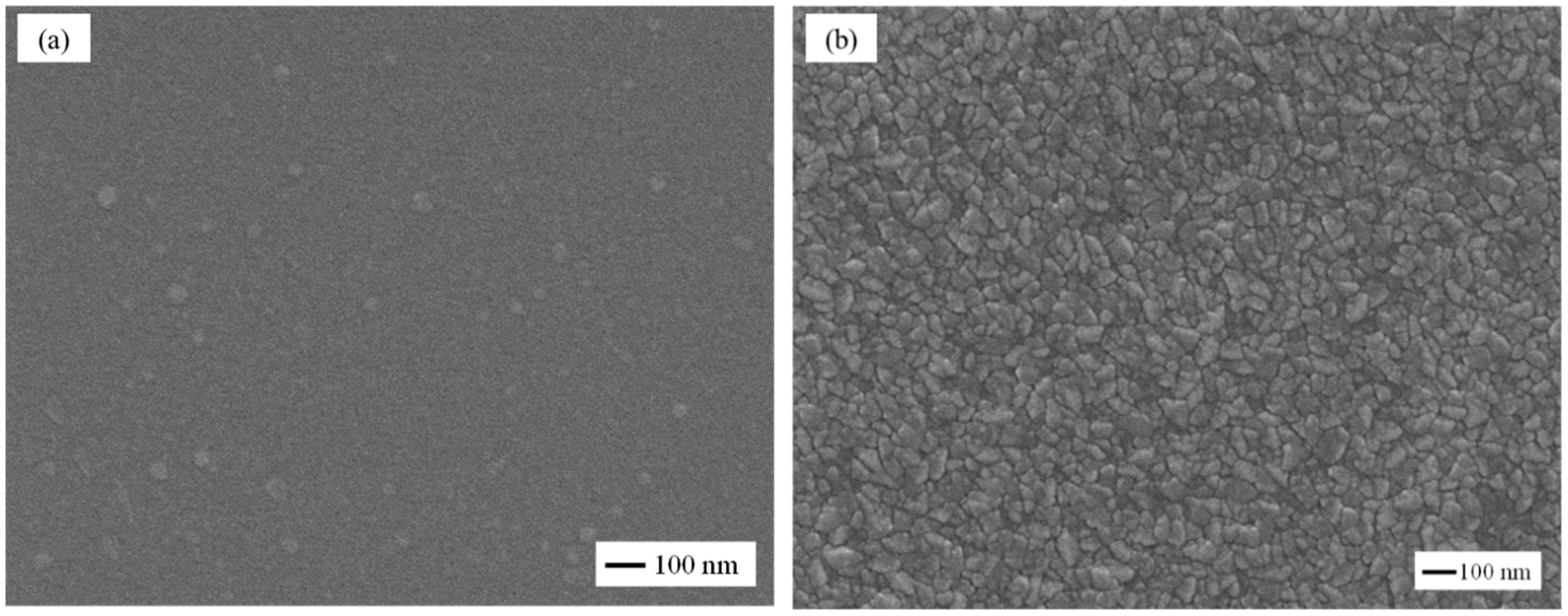 Coatings 10 00786 g003