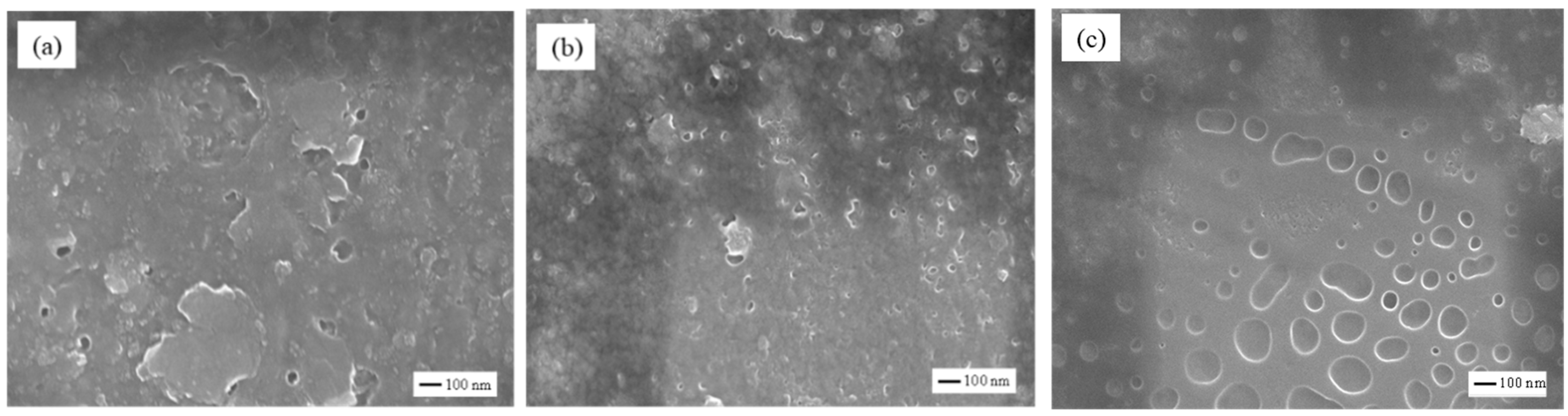 Coatings 10 00786 g005