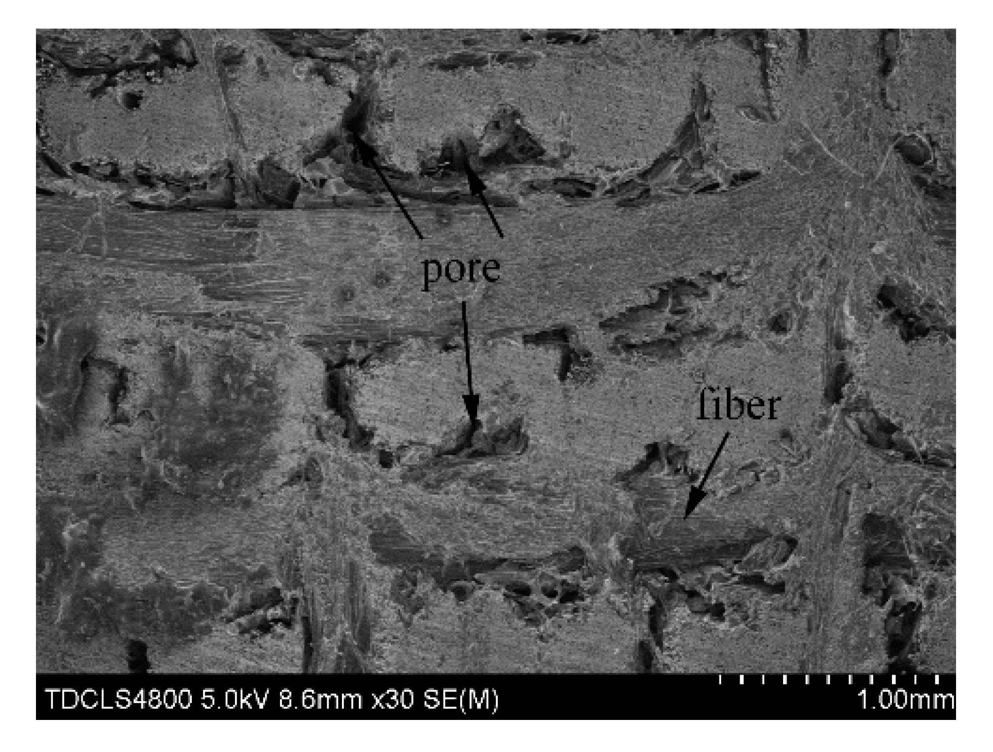 Coatings 10 00787 g005 550