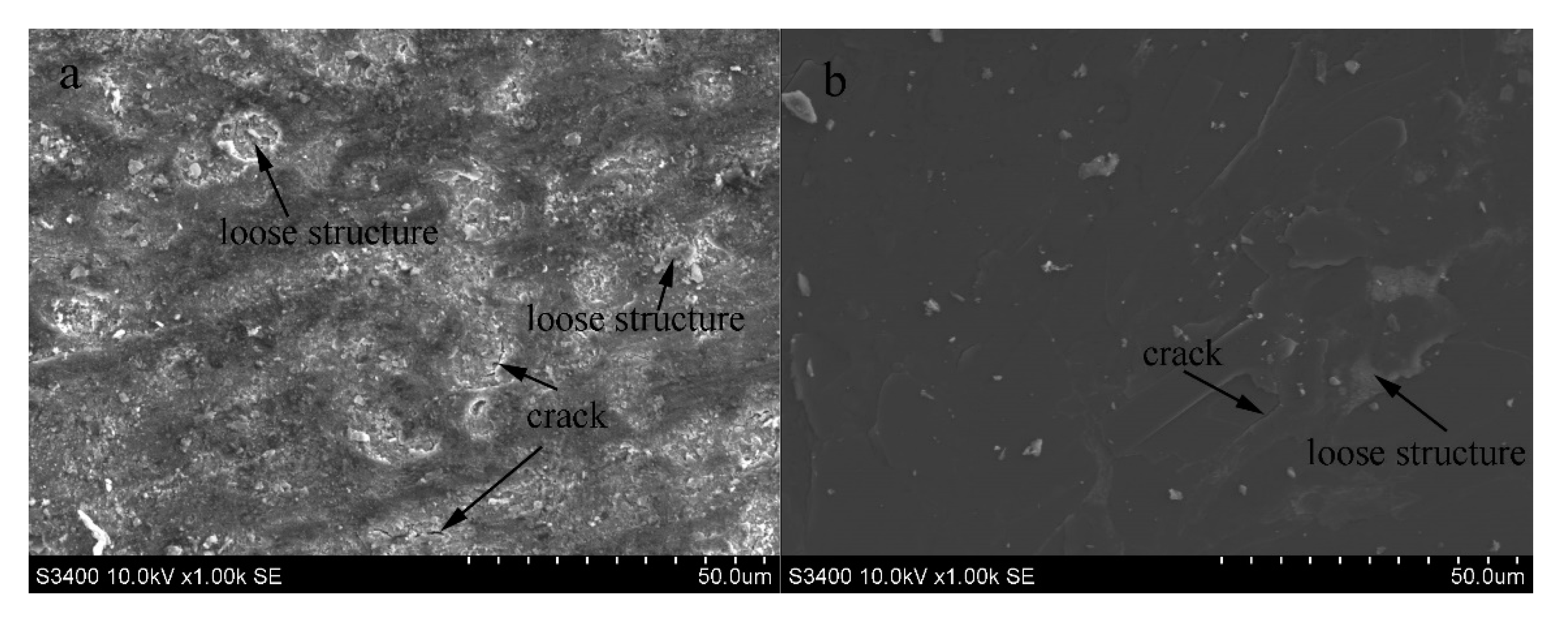 Coatings 10 00787 g006 550