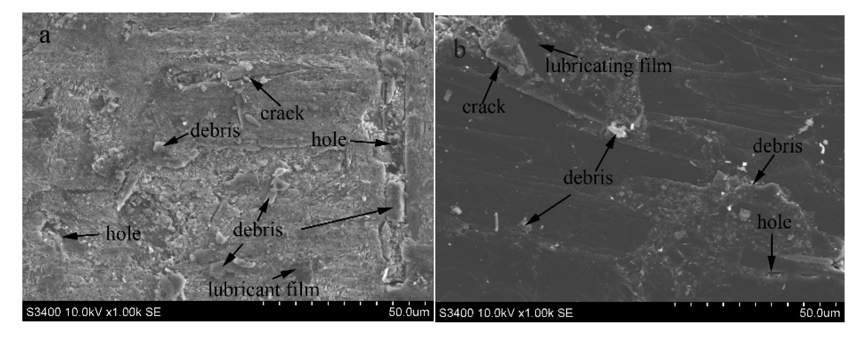 Coatings 10 00787 g010 550