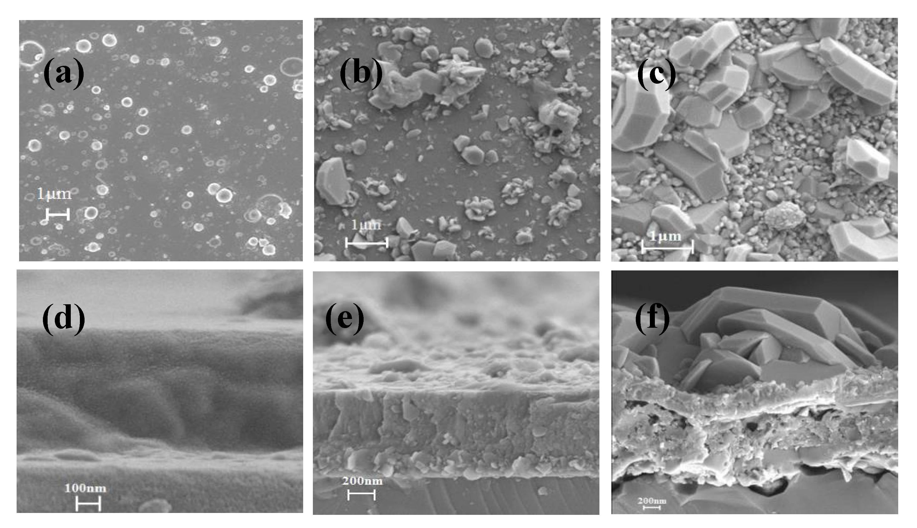Coatings 10 00796 g010