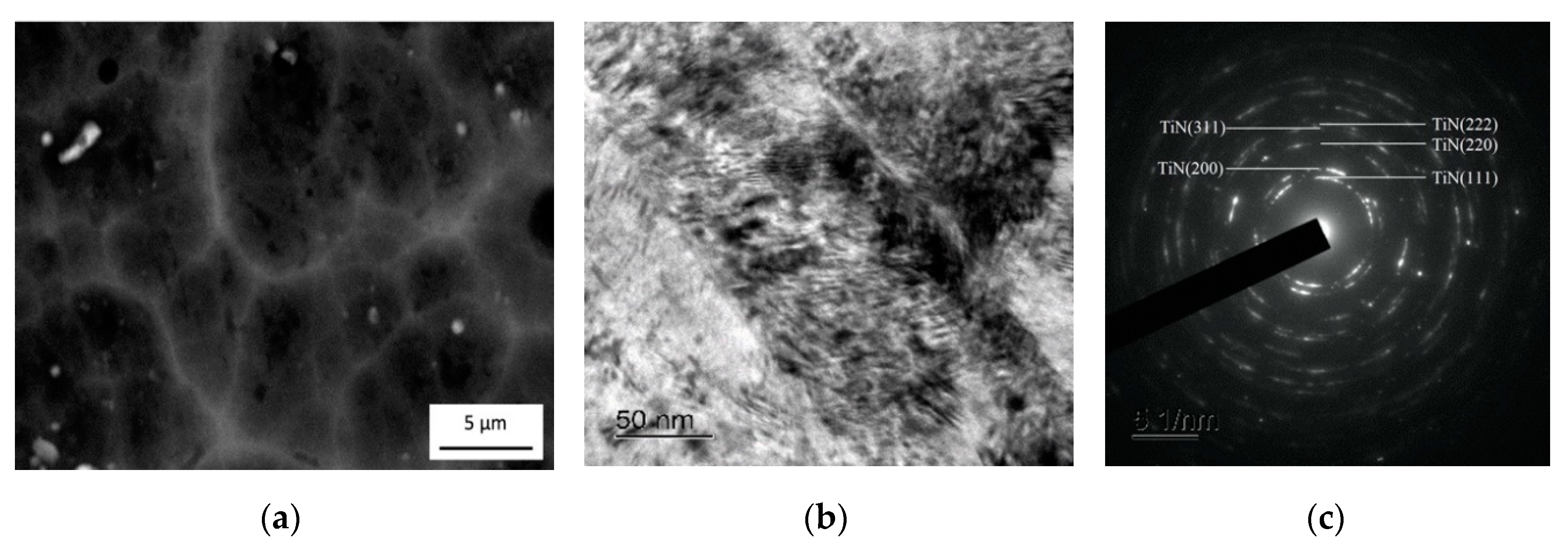 Coatings 10 00798 g003 550