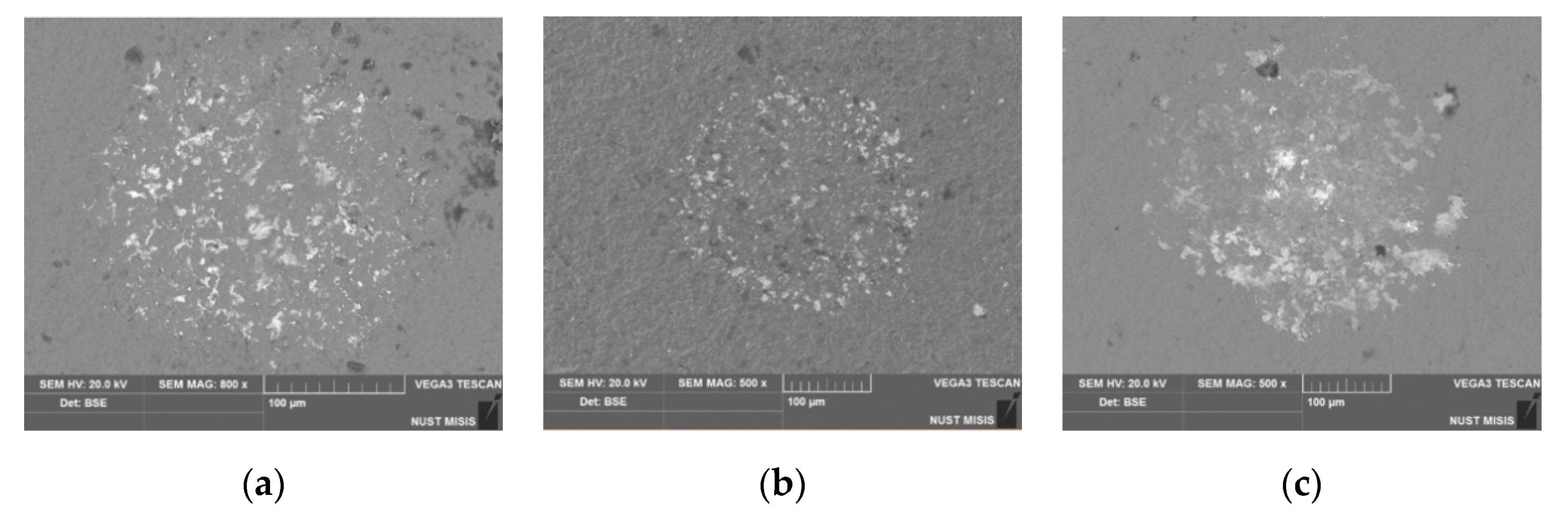 Coatings 10 00798 g007 550