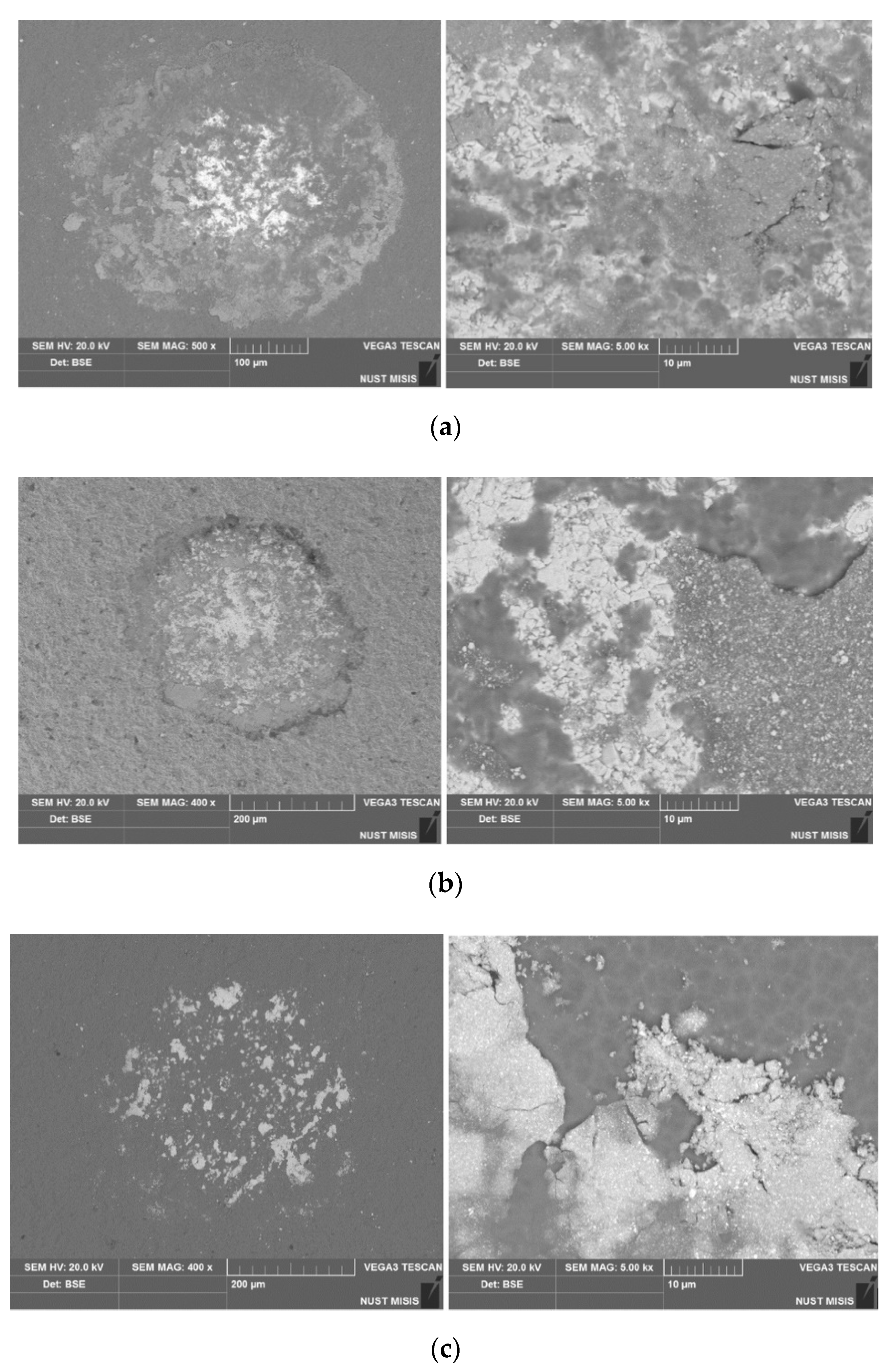 Coatings 10 00798 g008 550