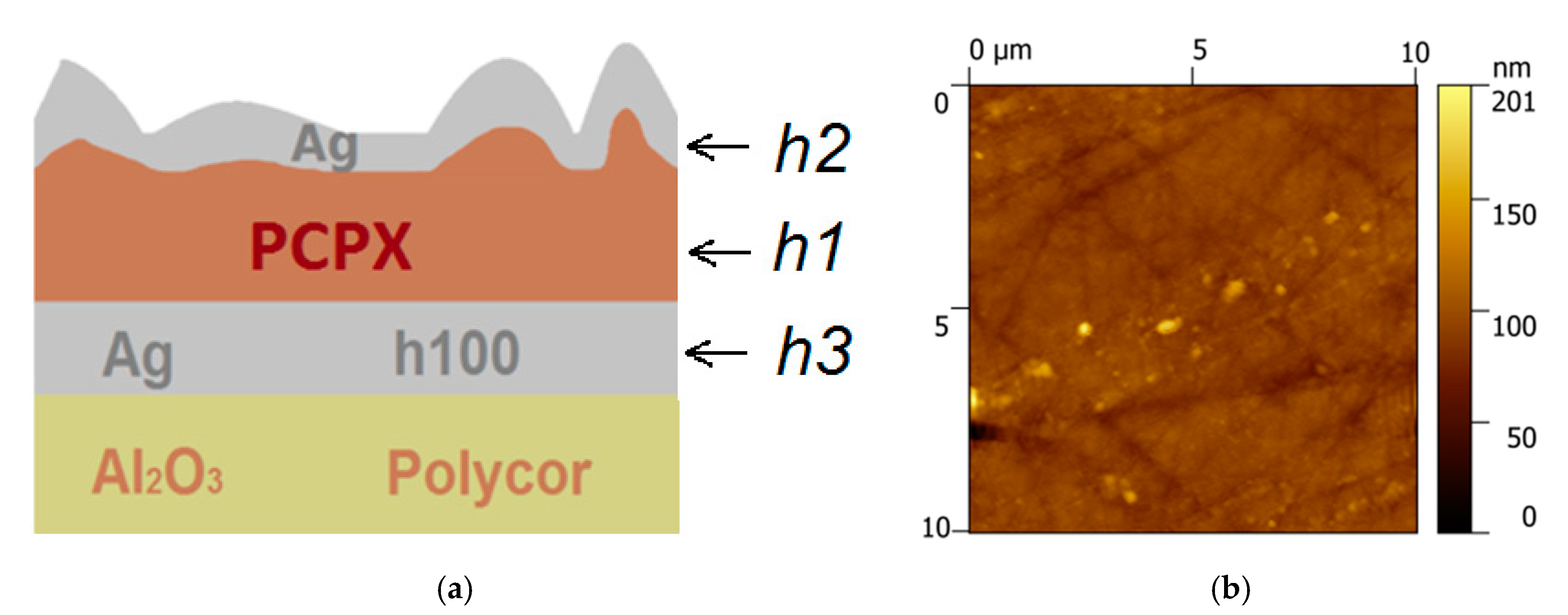 Coatings 10 00799 g001