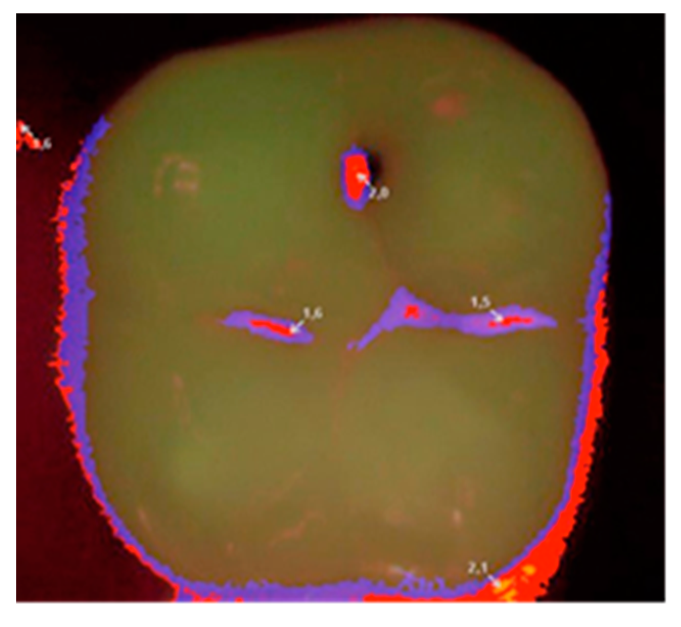 Coatings 10 00800 g001