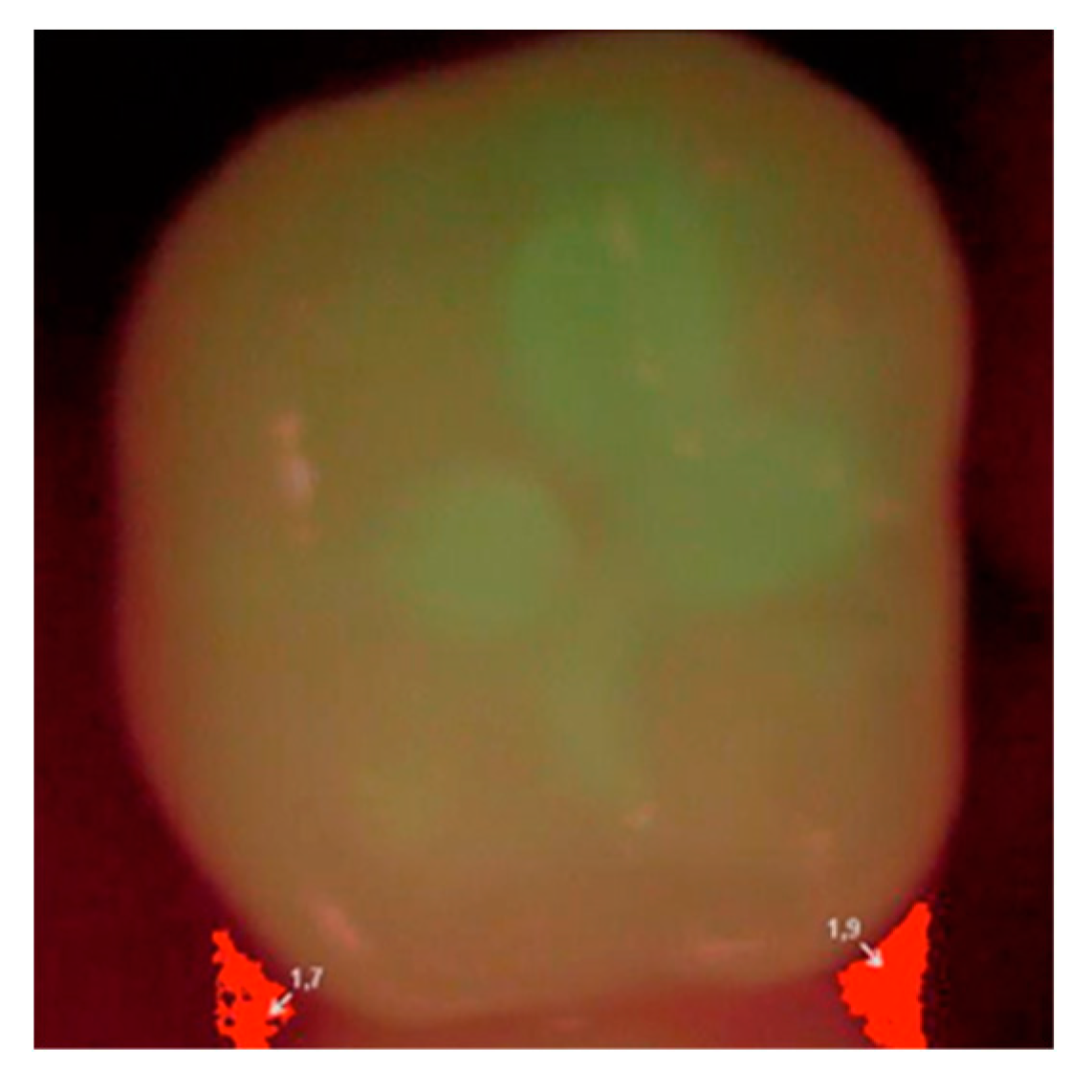 Coatings 10 00800 g002