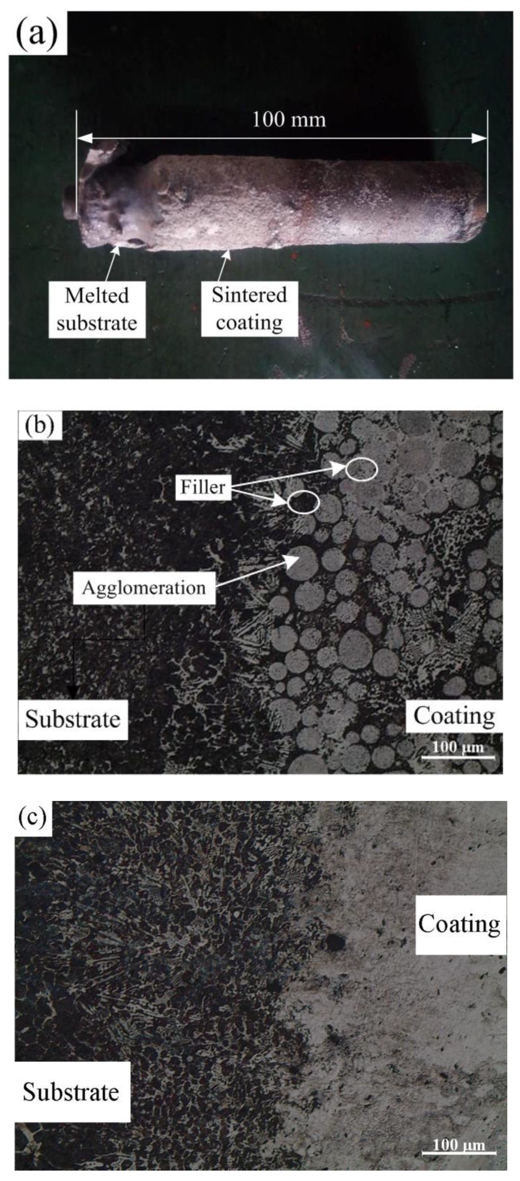 Coatings 10 00801 g004 Coatings 10 00801 g004