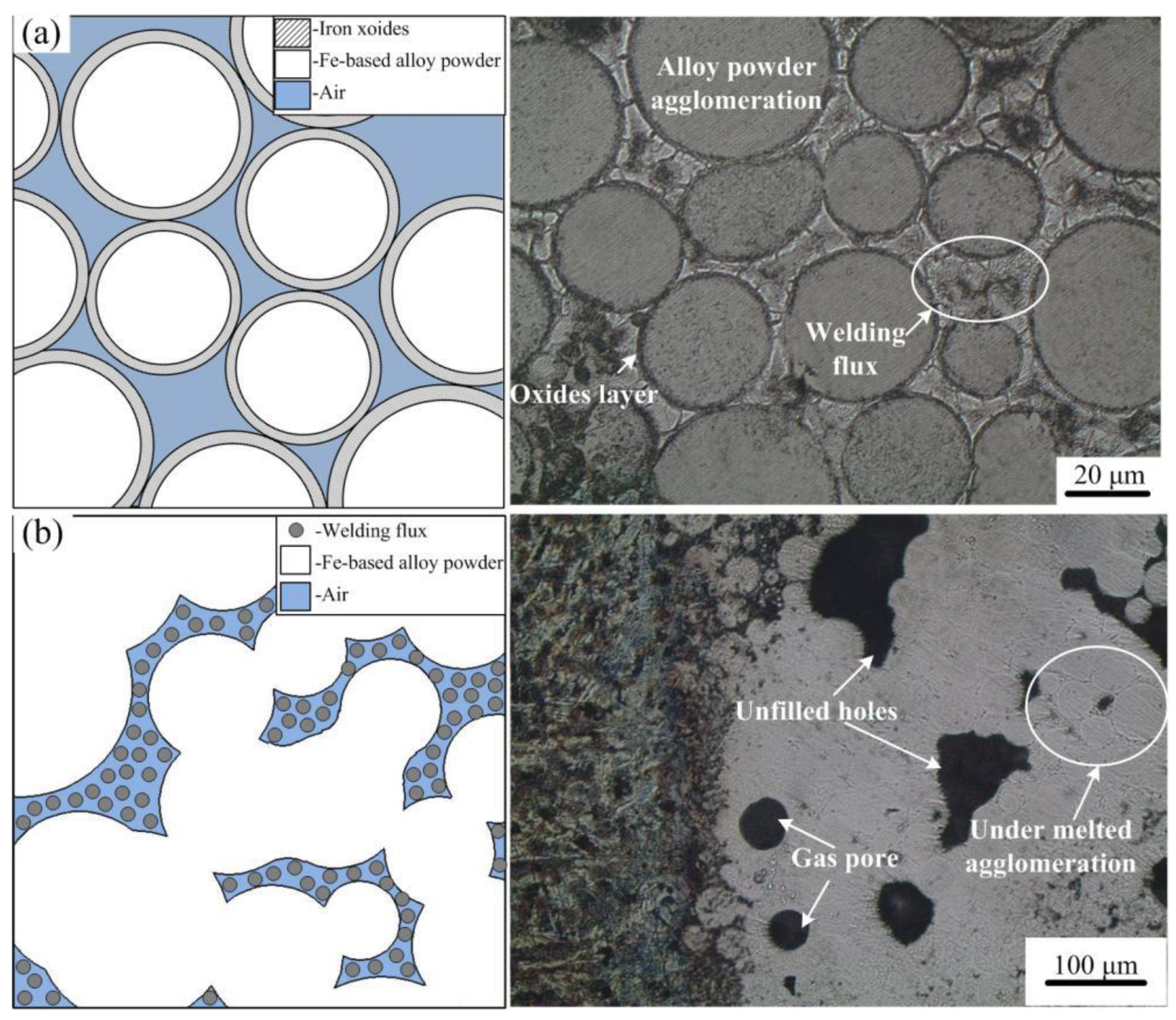 Coatings 10 00801 g005 Coatings 10 00801 g005