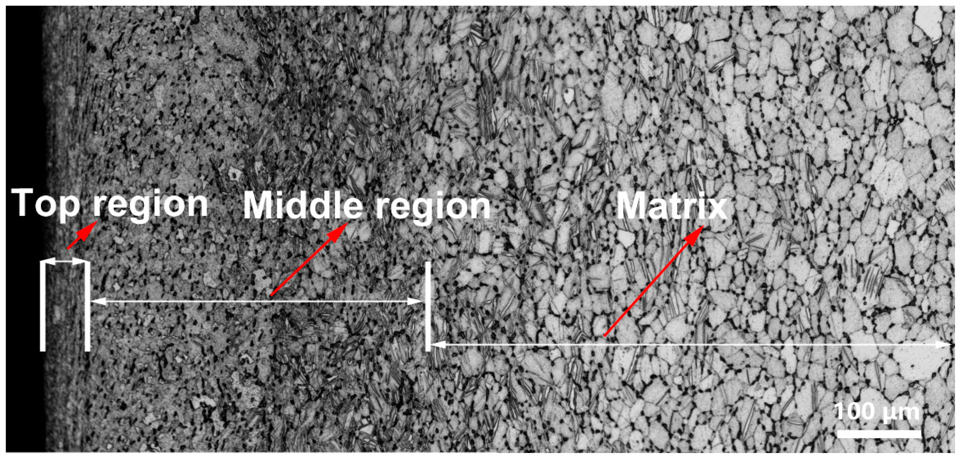 Coatings 10 00803 g001 Coatings 10 00803 g001