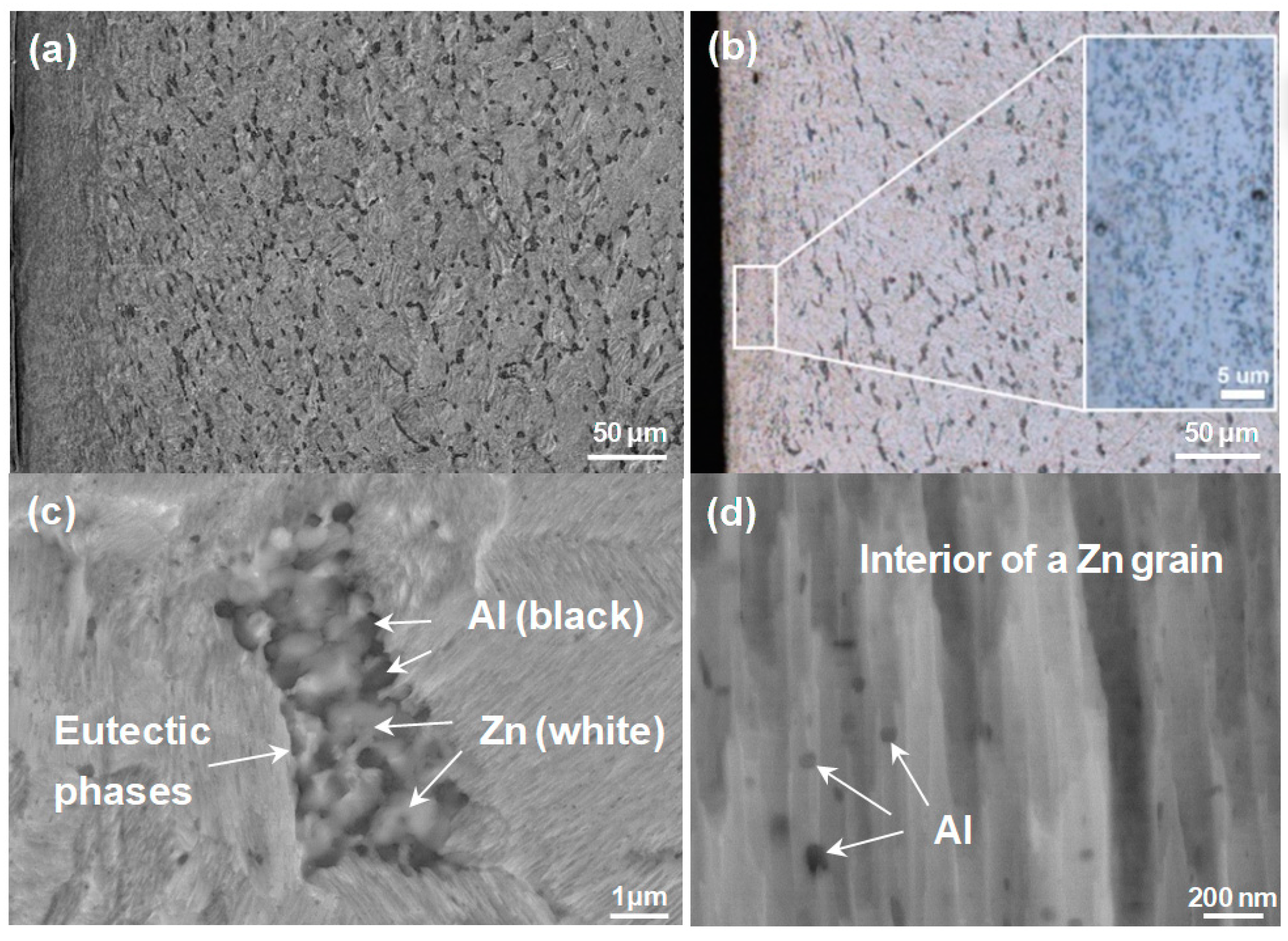 Coatings 10 00803 g003 Coatings 10 00803 g003