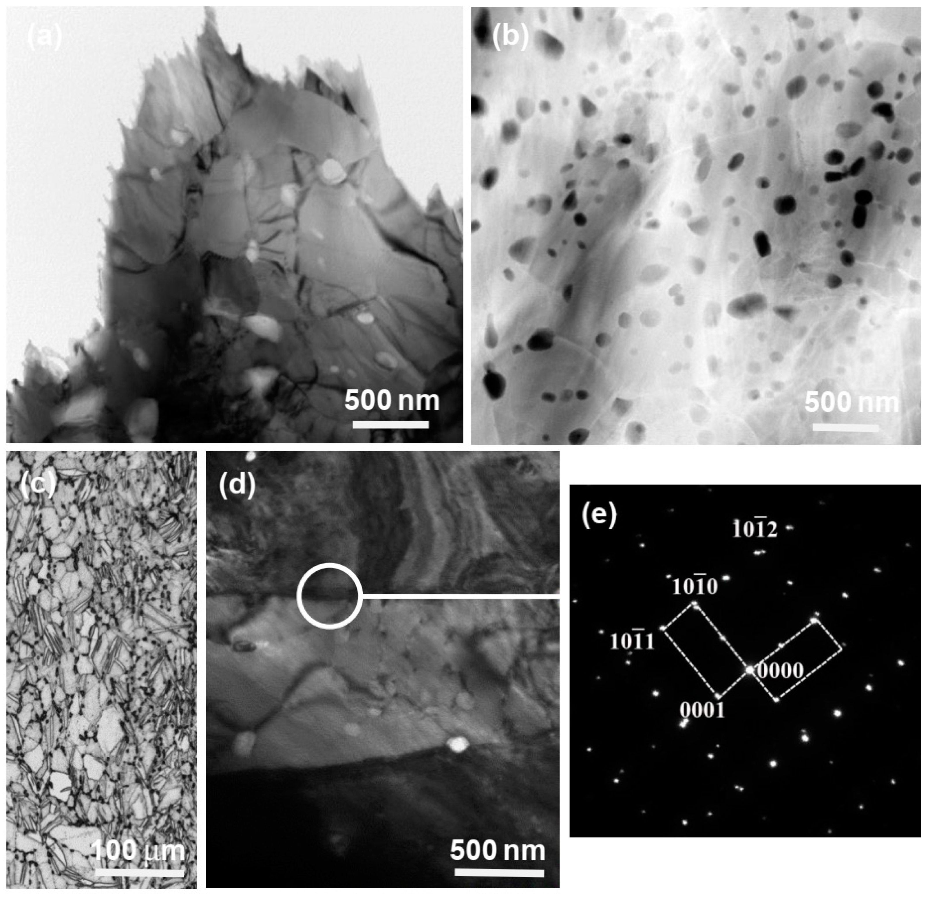 Coatings 10 00803 g004 Coatings 10 00803 g004