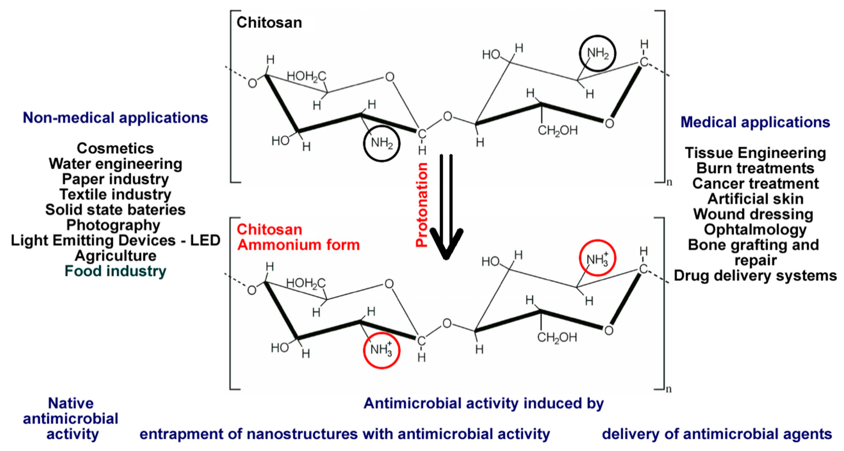 Coatings 10 00806 g001